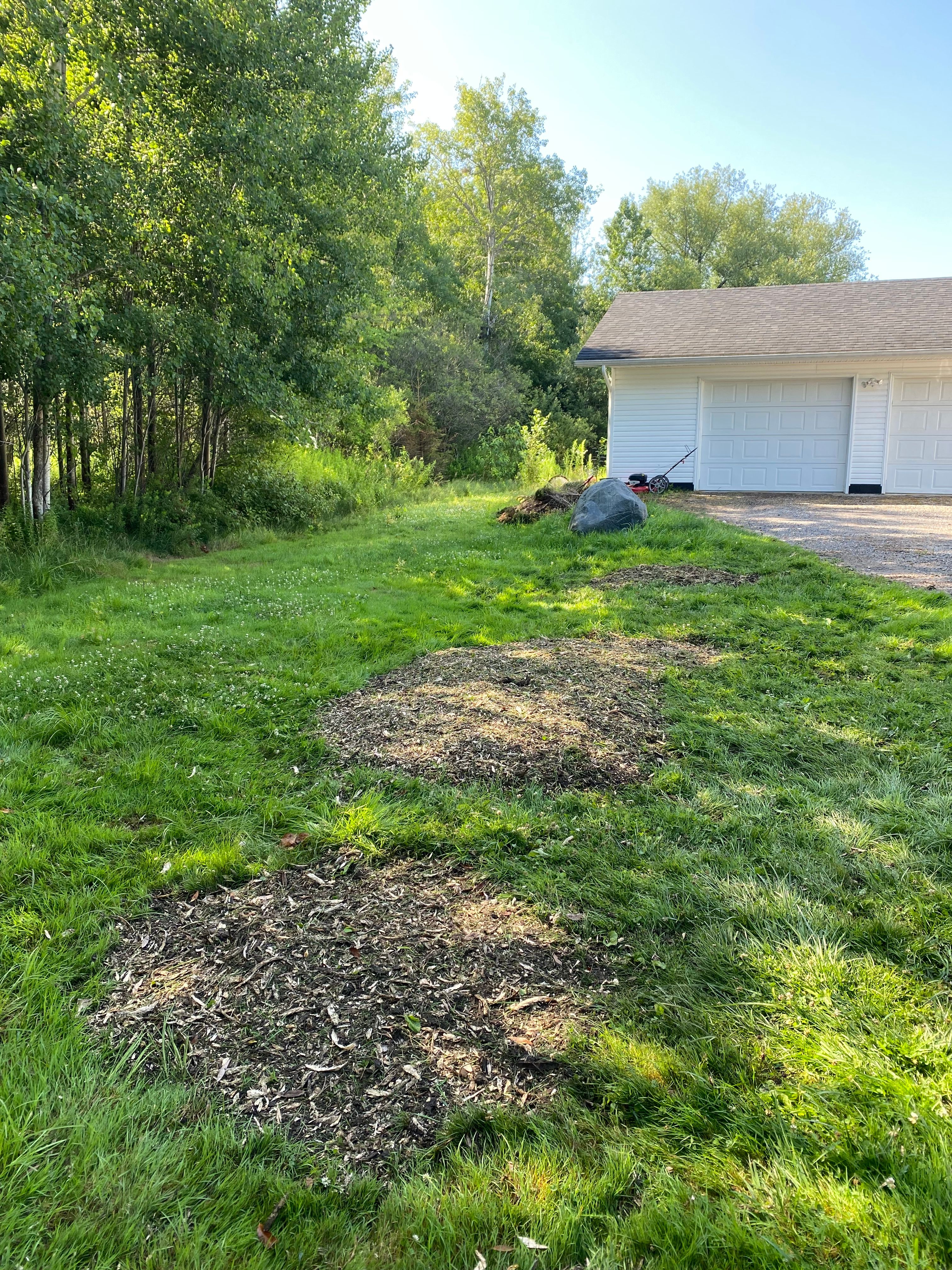 Stump Grinding for Bear Creek Tree Service LLC in Rudyard, MI