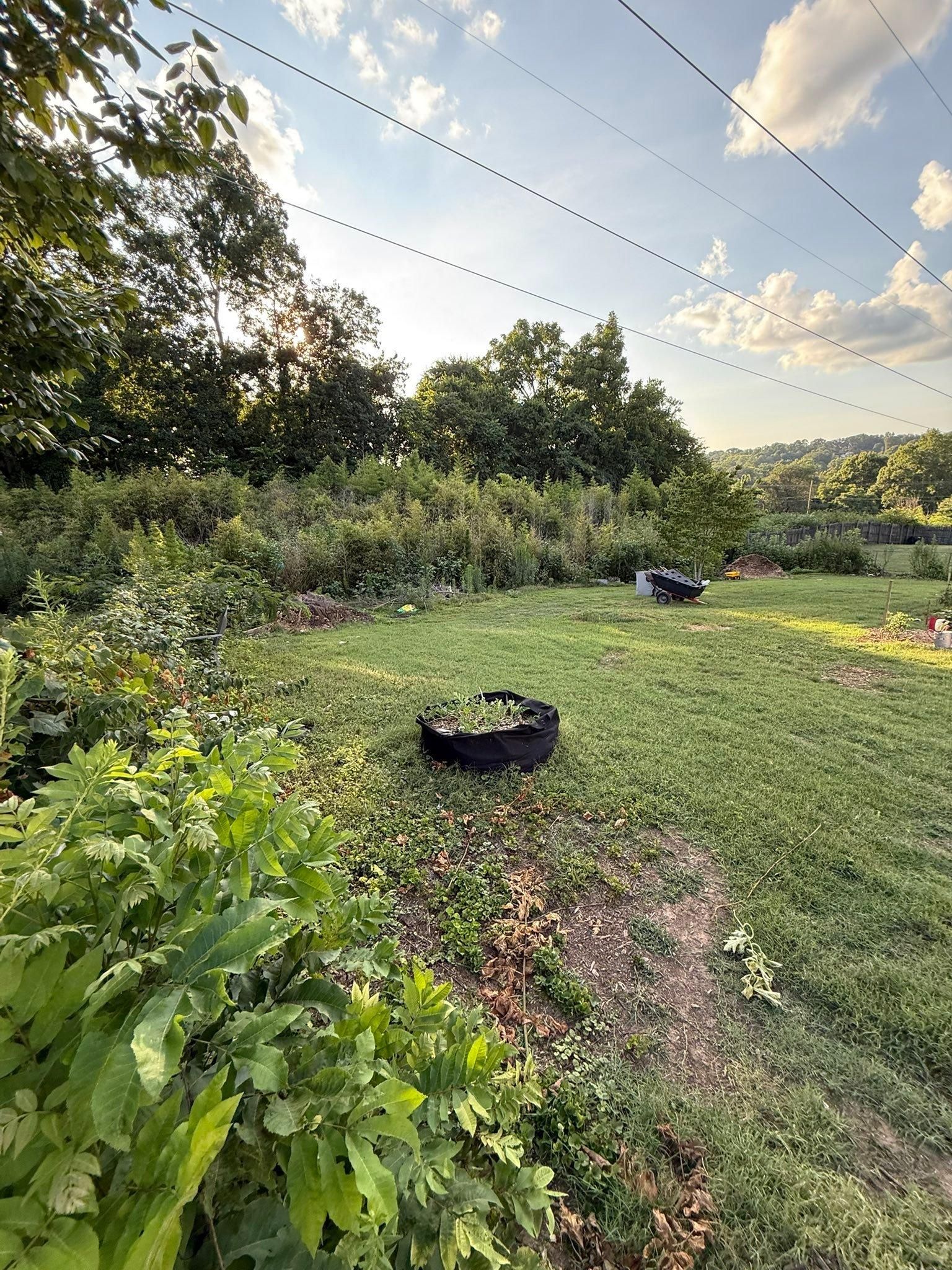  for Wesleys Landscaping in Clinton, TN