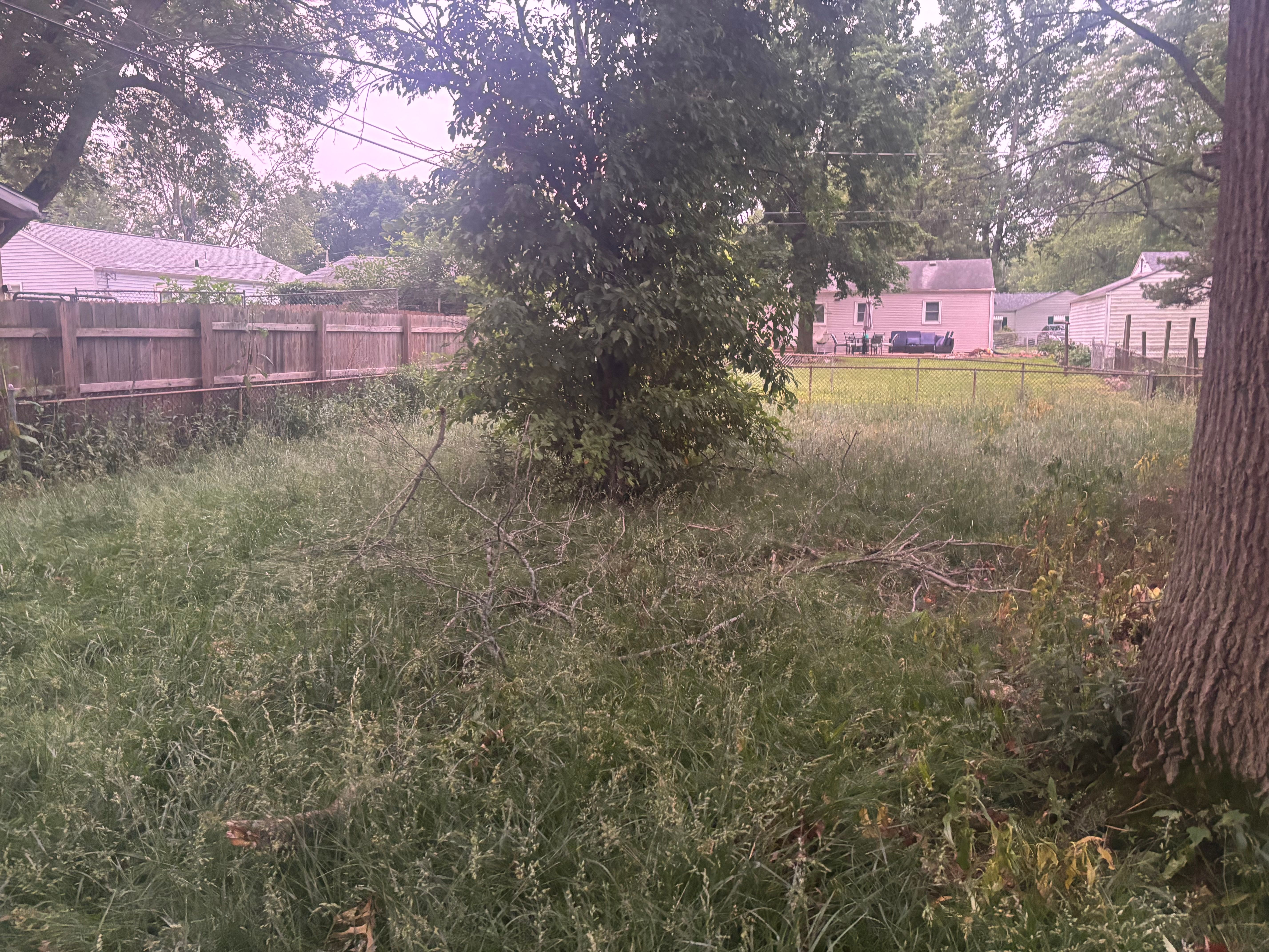 All Photos for KY Lawn Care in Springfield, IL
