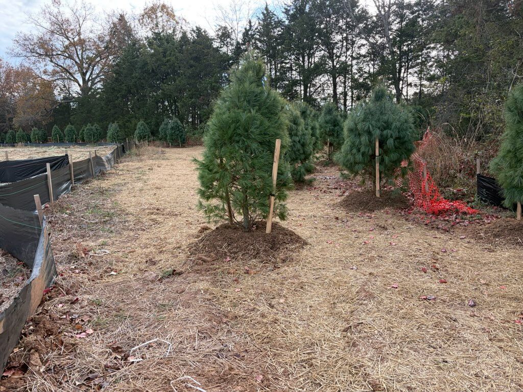  for 9999 Building and Renovation LLC in Warrenton, VA