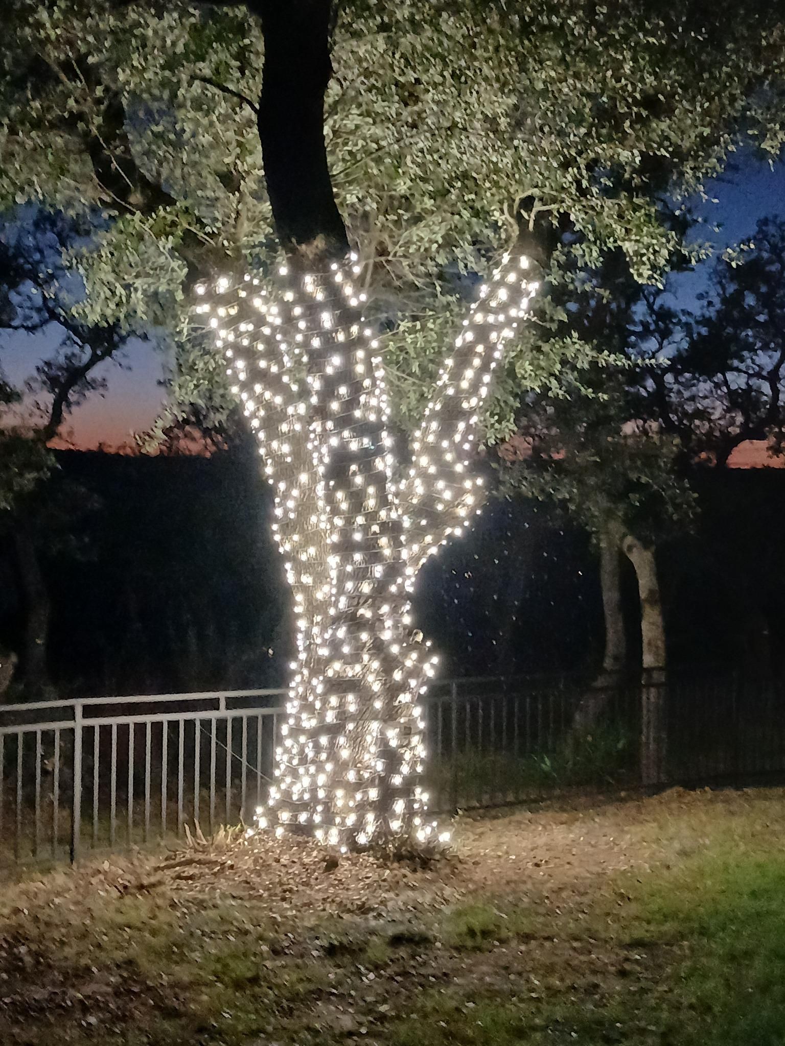  for Xtreme Clean Plus in Fredericksburg, TX