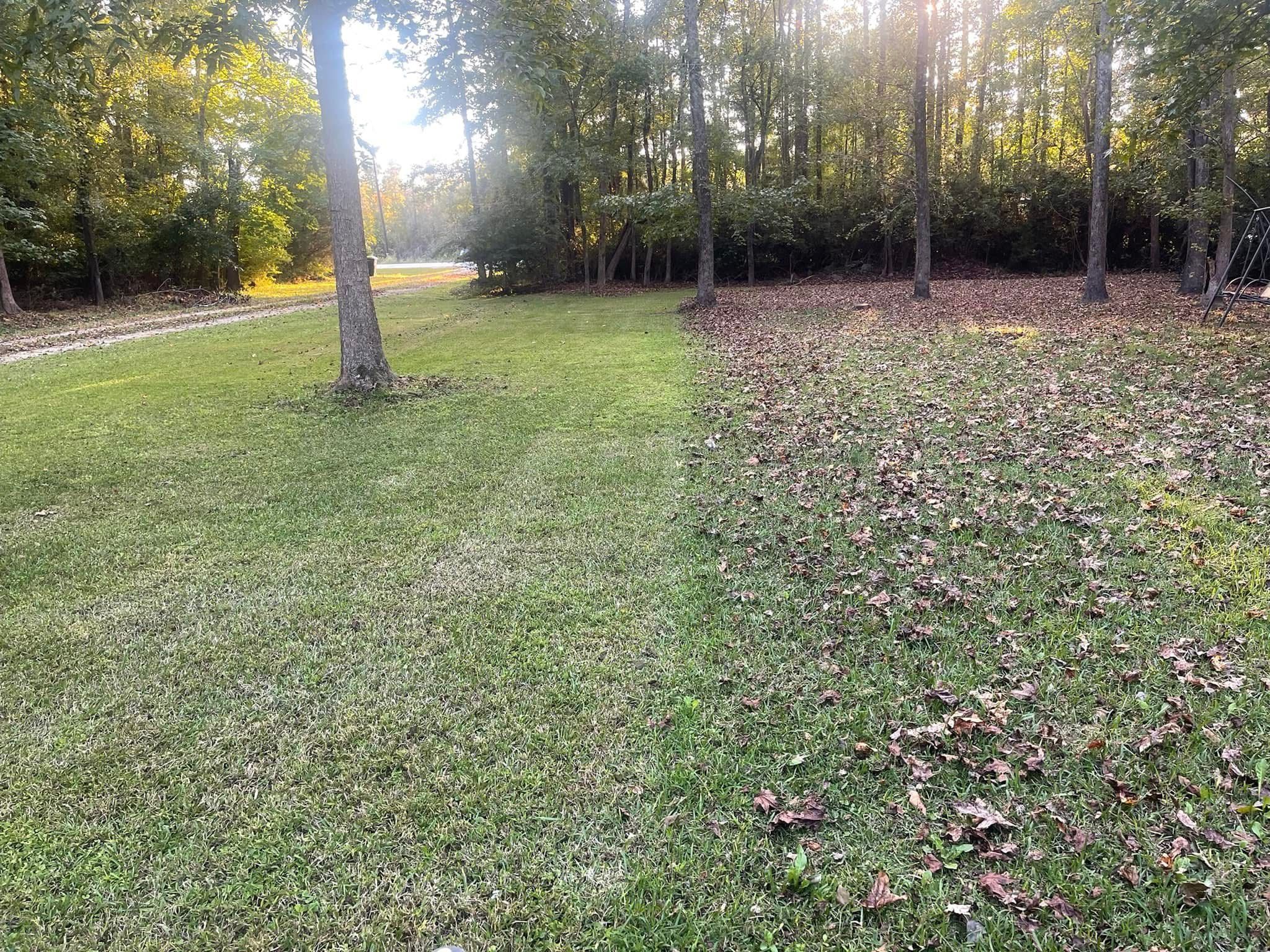  for Voilà Magic LawnCare Services in Jacksonville, NC