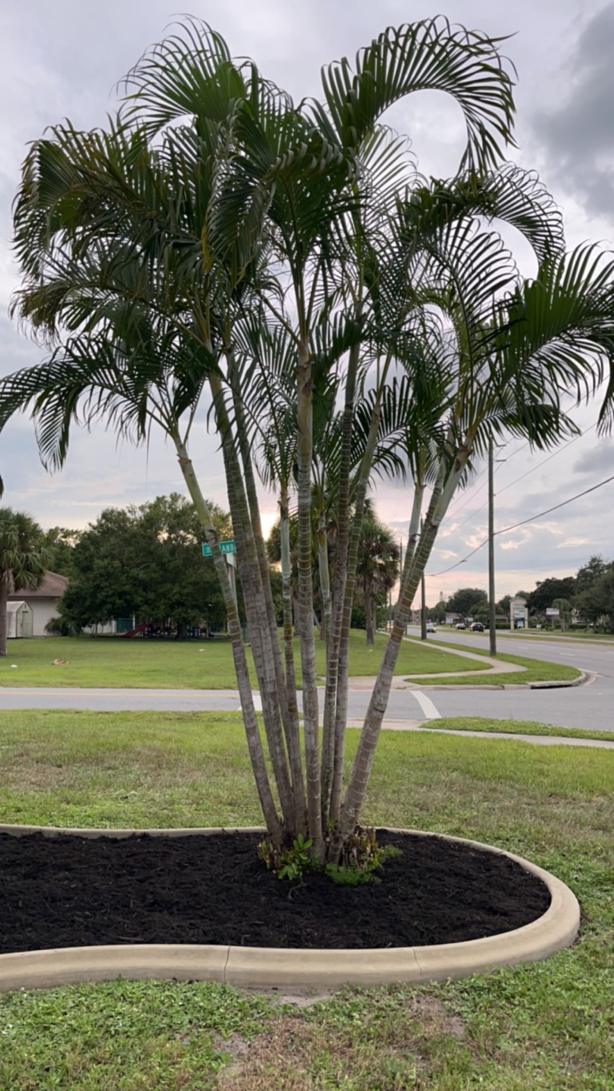  for Space Coast Property Maintenance and Management LLC in Melbourne, FL