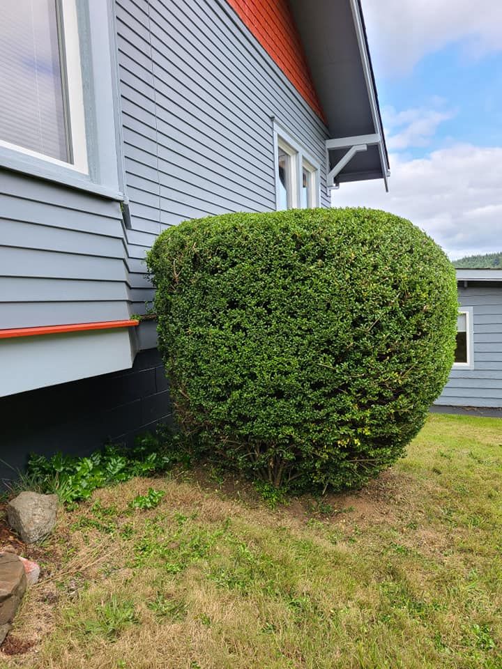  for Bob's Yard Care & Landscaping in Raymond, WA