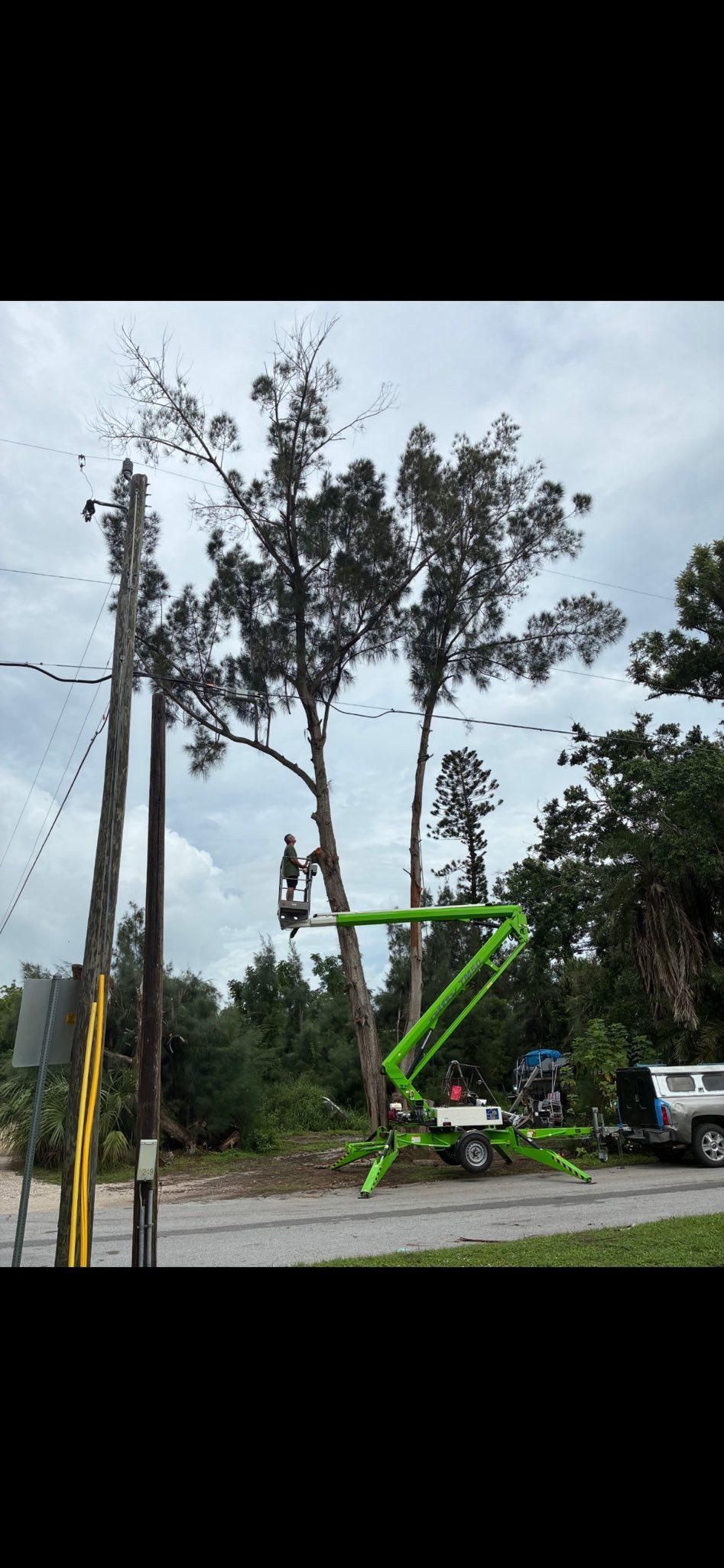  for Nick of Time Tree Service in North Port, FL