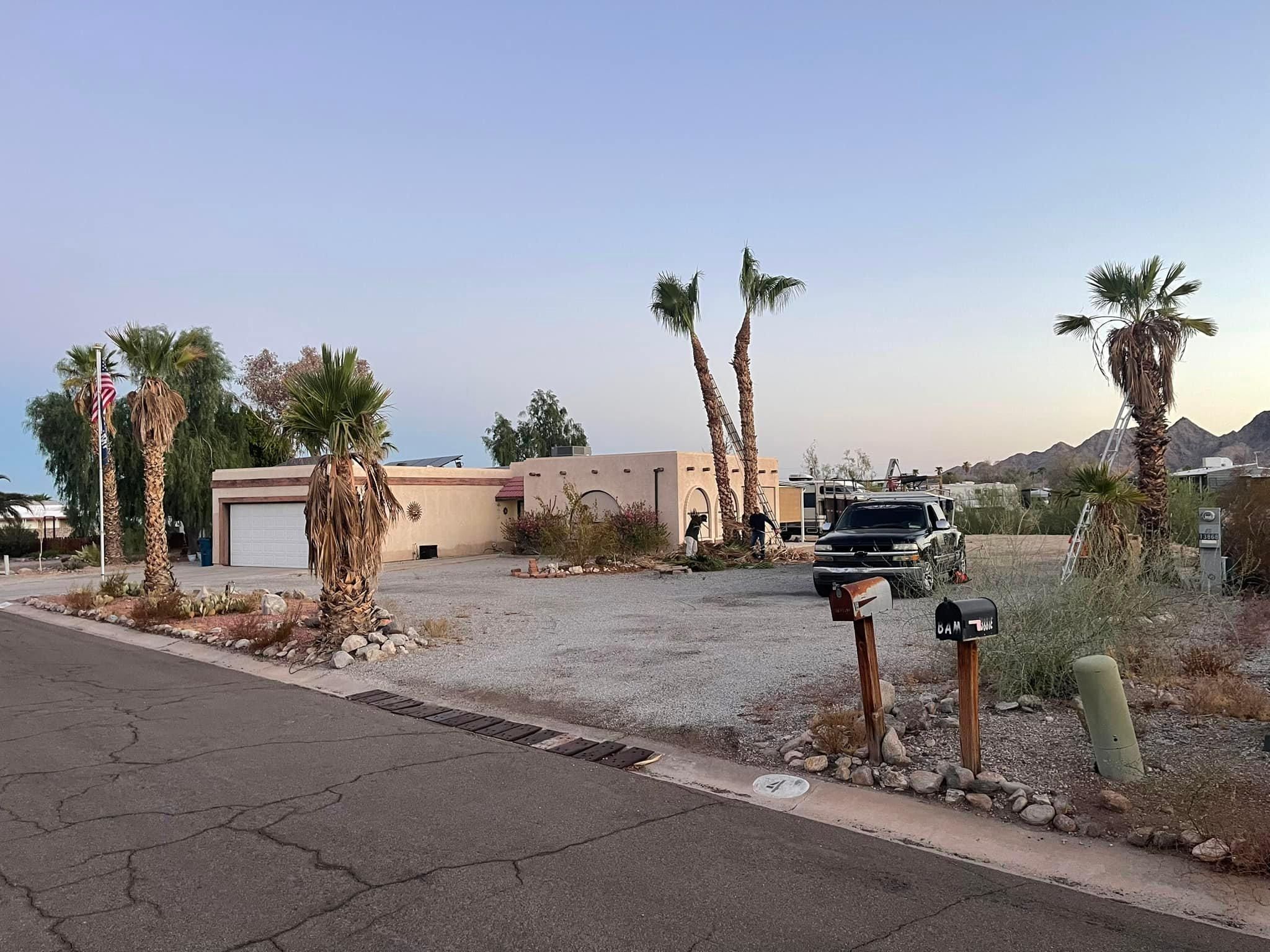  for Oliver L. Palm & Tree services in Yuma County, AZ