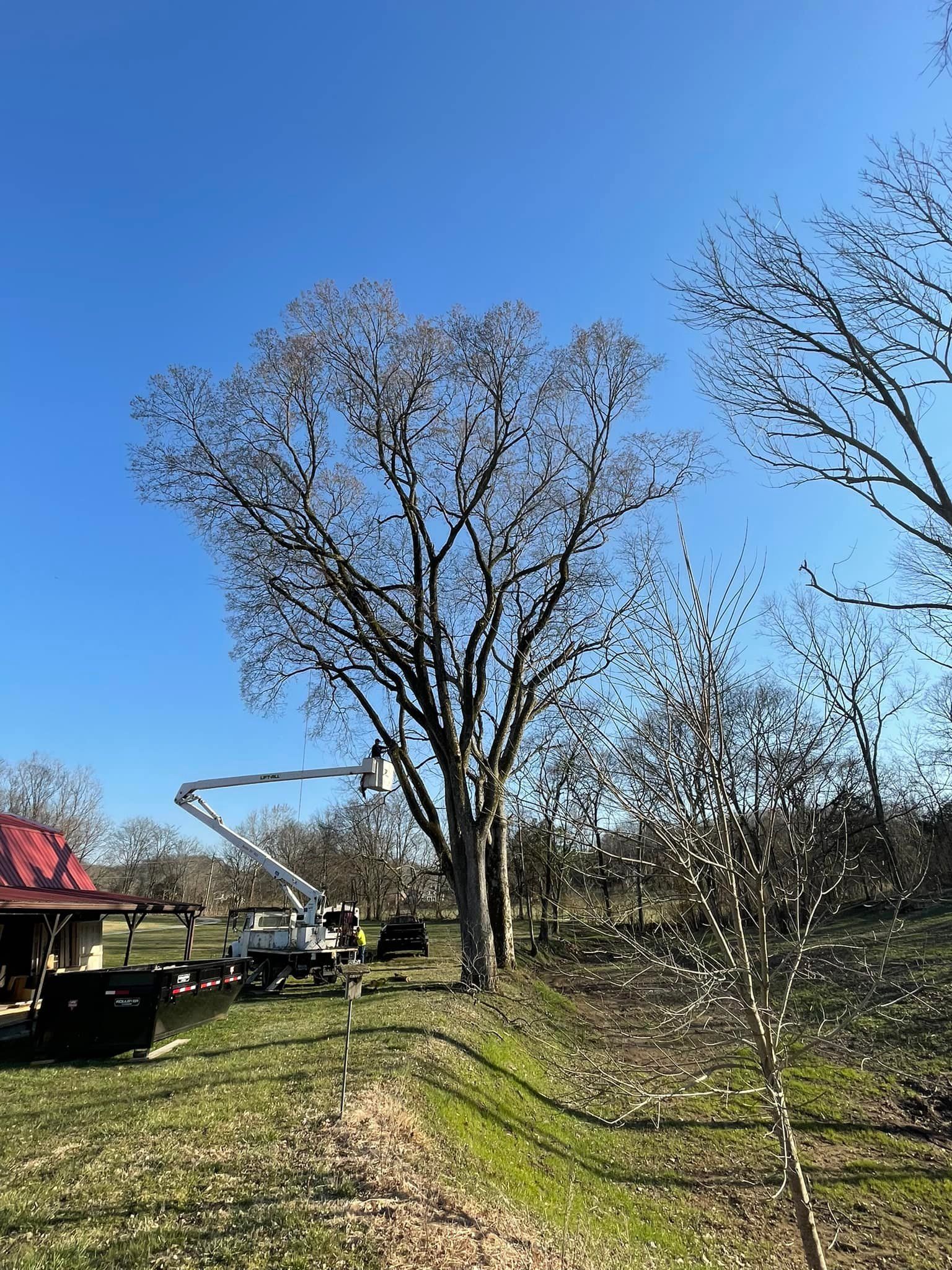  for Jace’s Tree & Stump Removal in Franklin, TN