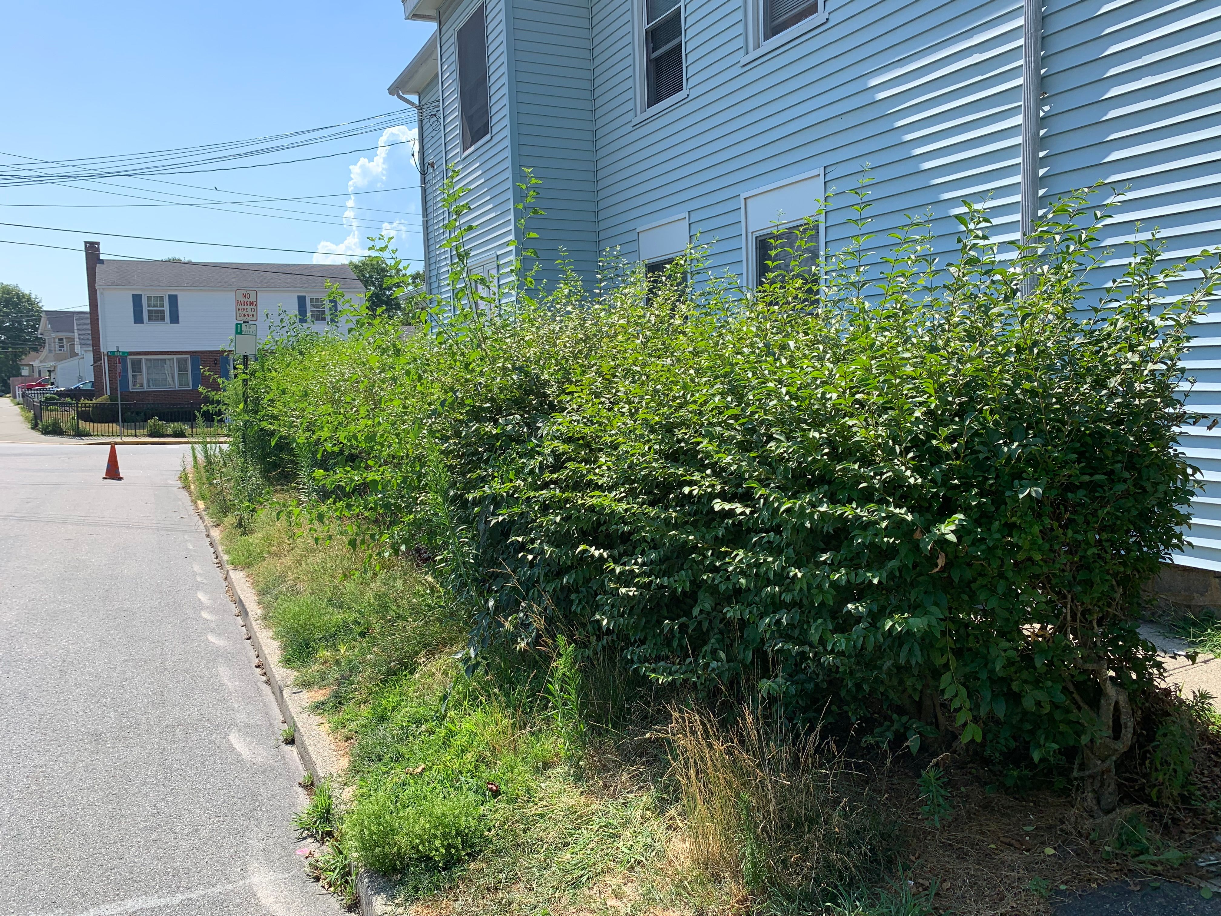  for Murray Mowing and More in Ashaway, RI