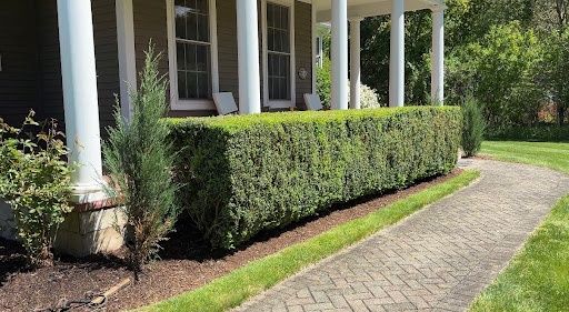  for Emerald Exterior Property Management in Old Saybrook, CT