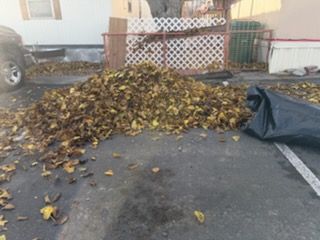  for Buhl Boys Concrete & Construction in Farmington, NM