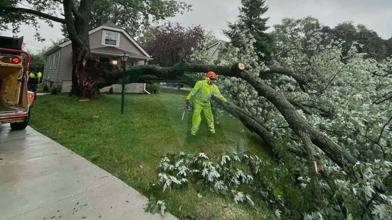  for Oakwood Tree Removal LLC in Oak Creek,  WI