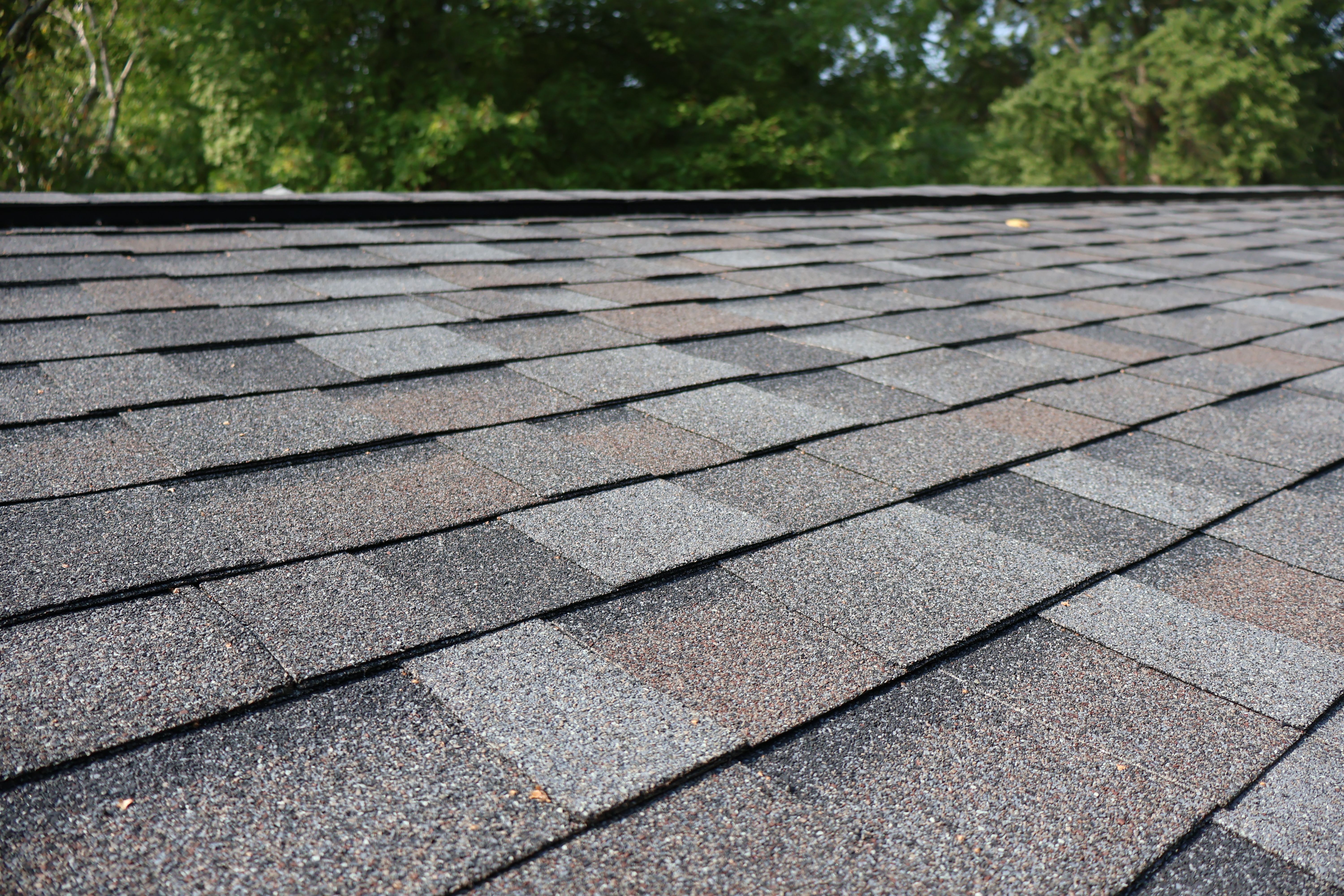  for Prime Roofing LLC in Menasha, WI