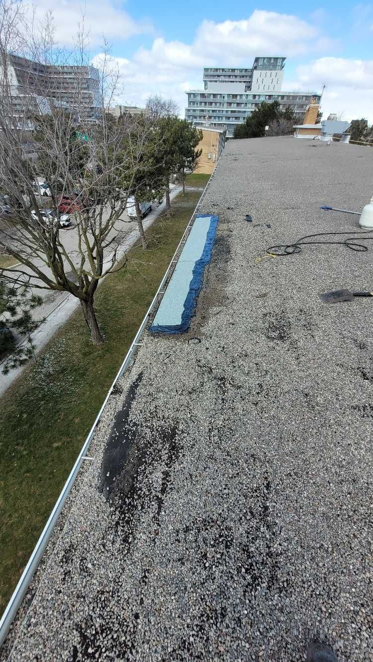  for Triumph Inc - Repair & Maintenance in Scarborough, ON