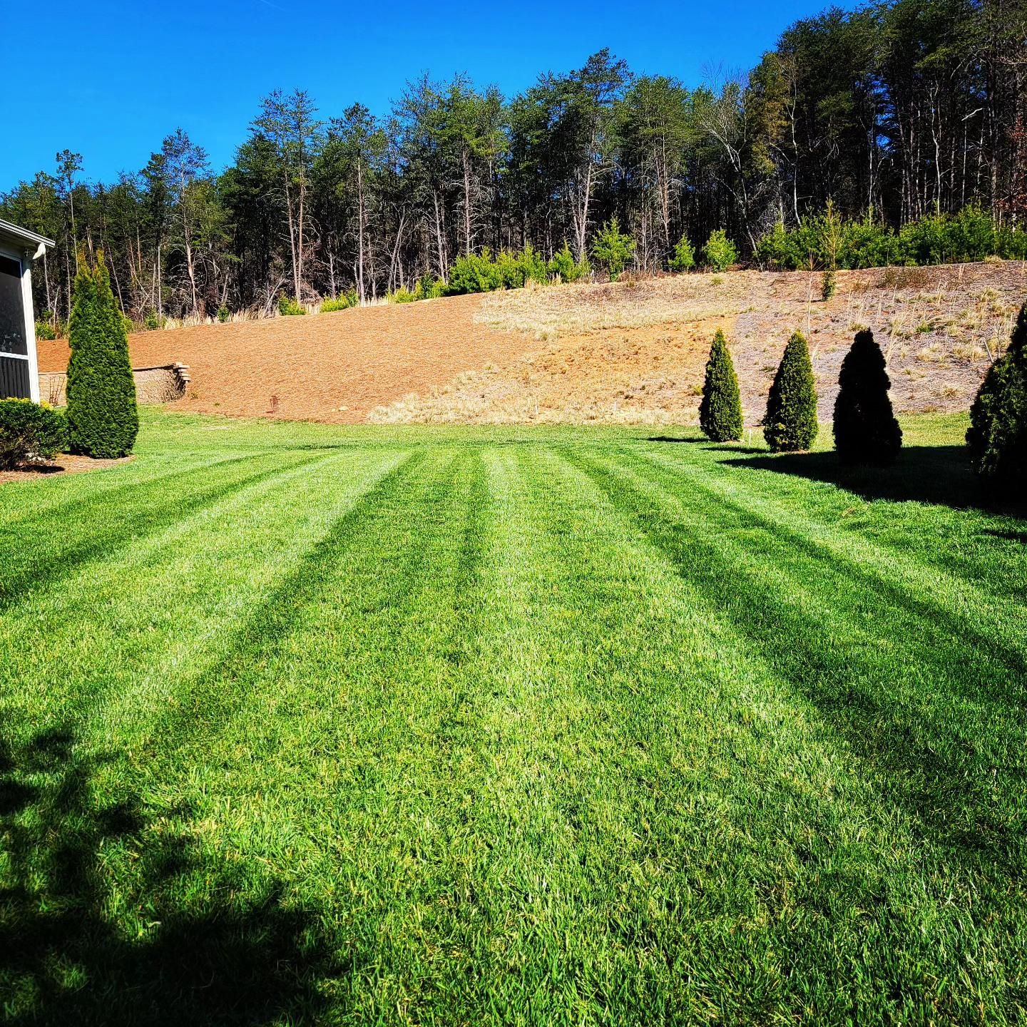  for Piedmont Lawn and Landscaping in Lexington, NC