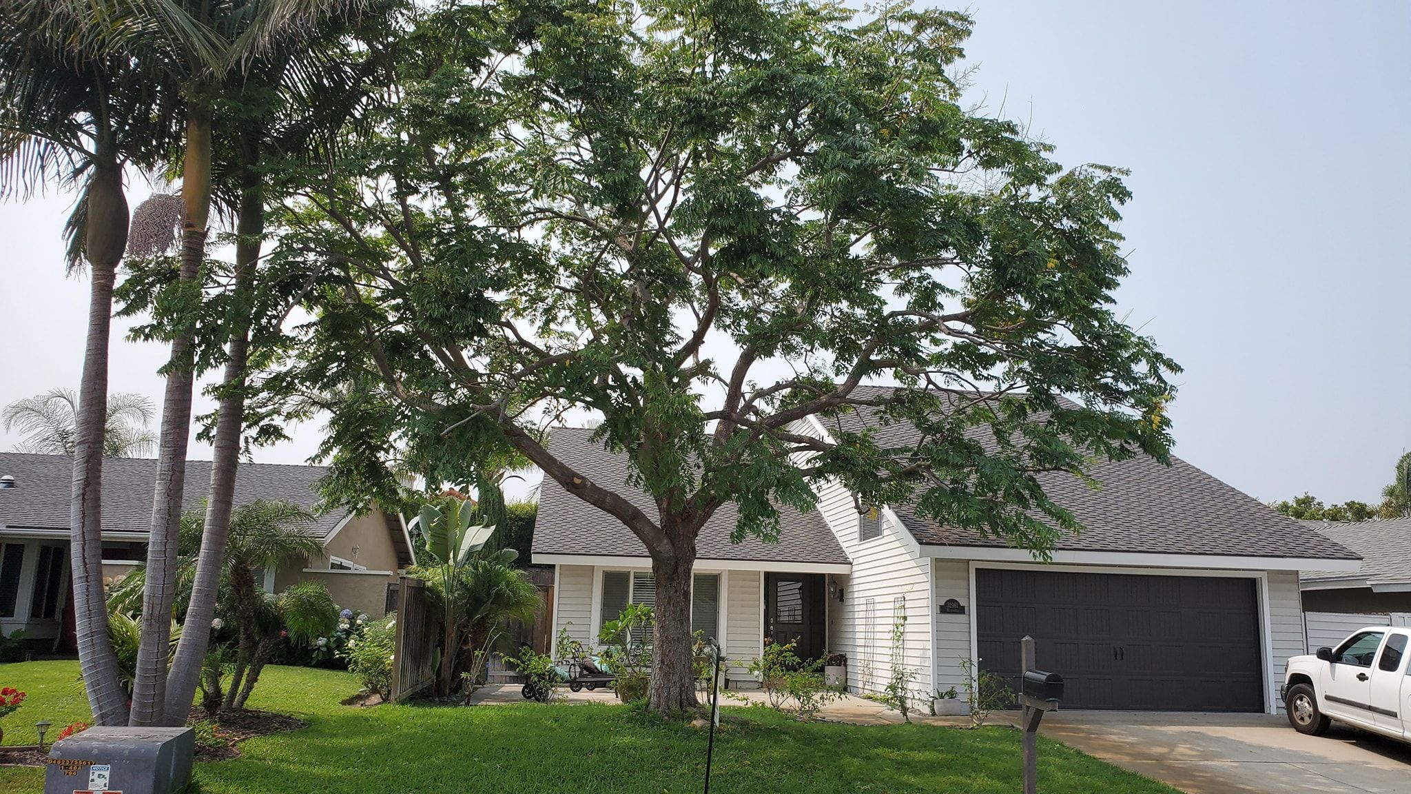  for Benito's Gardening in San Juan Capistrano, CA