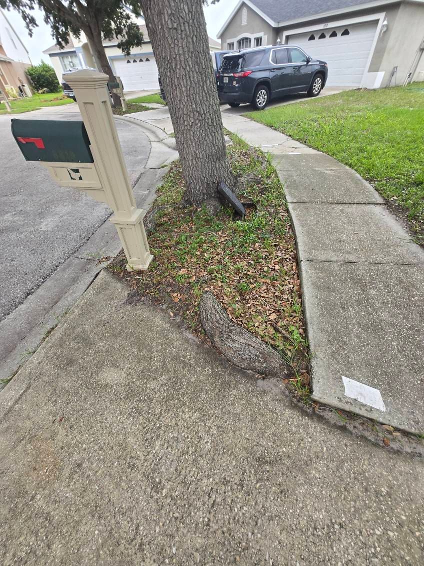 All Photos for TREE BOYS in Ruskin, FL