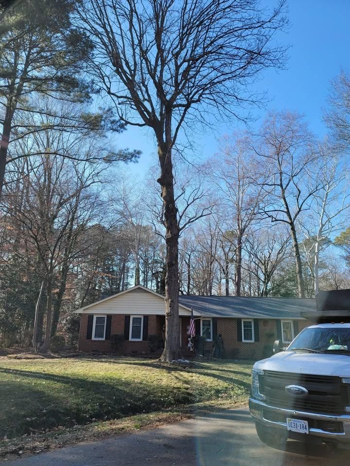  for Integrity Tree and Landscaping in Lynchburg, VA