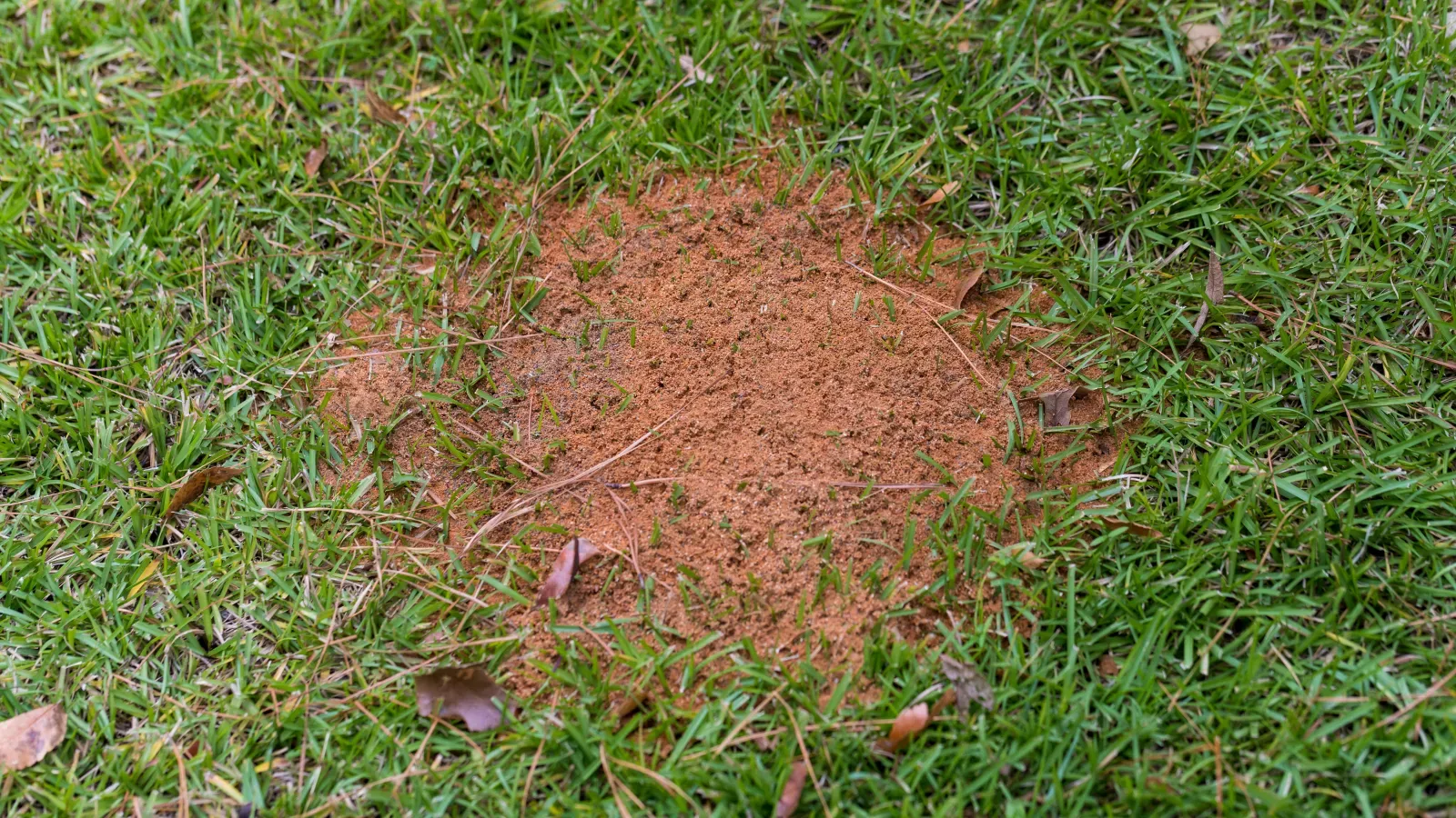  for Green Pro Lawn Care in Greensboro, NC