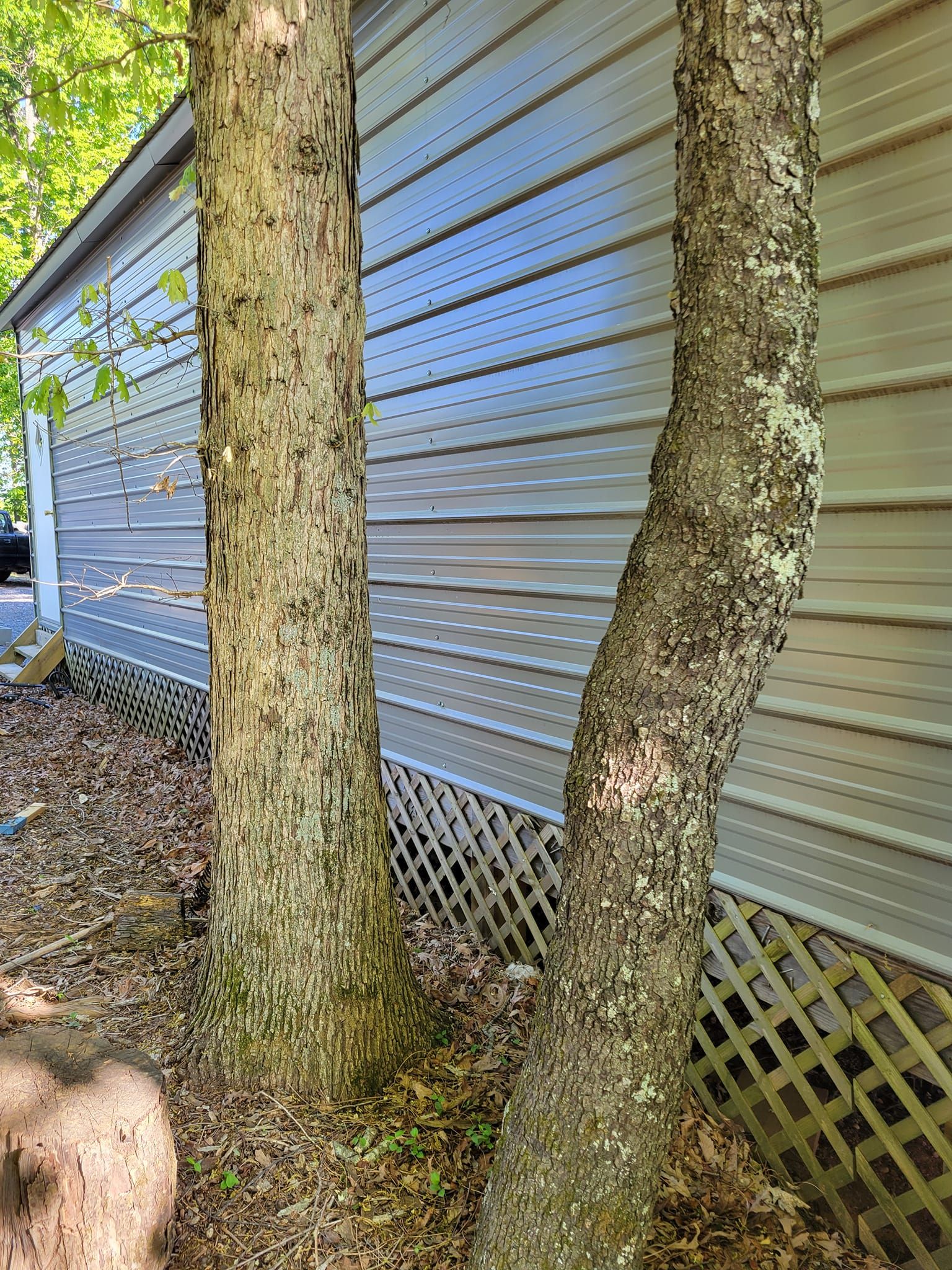  for Red Roosters Tree Services in Bedford, VA