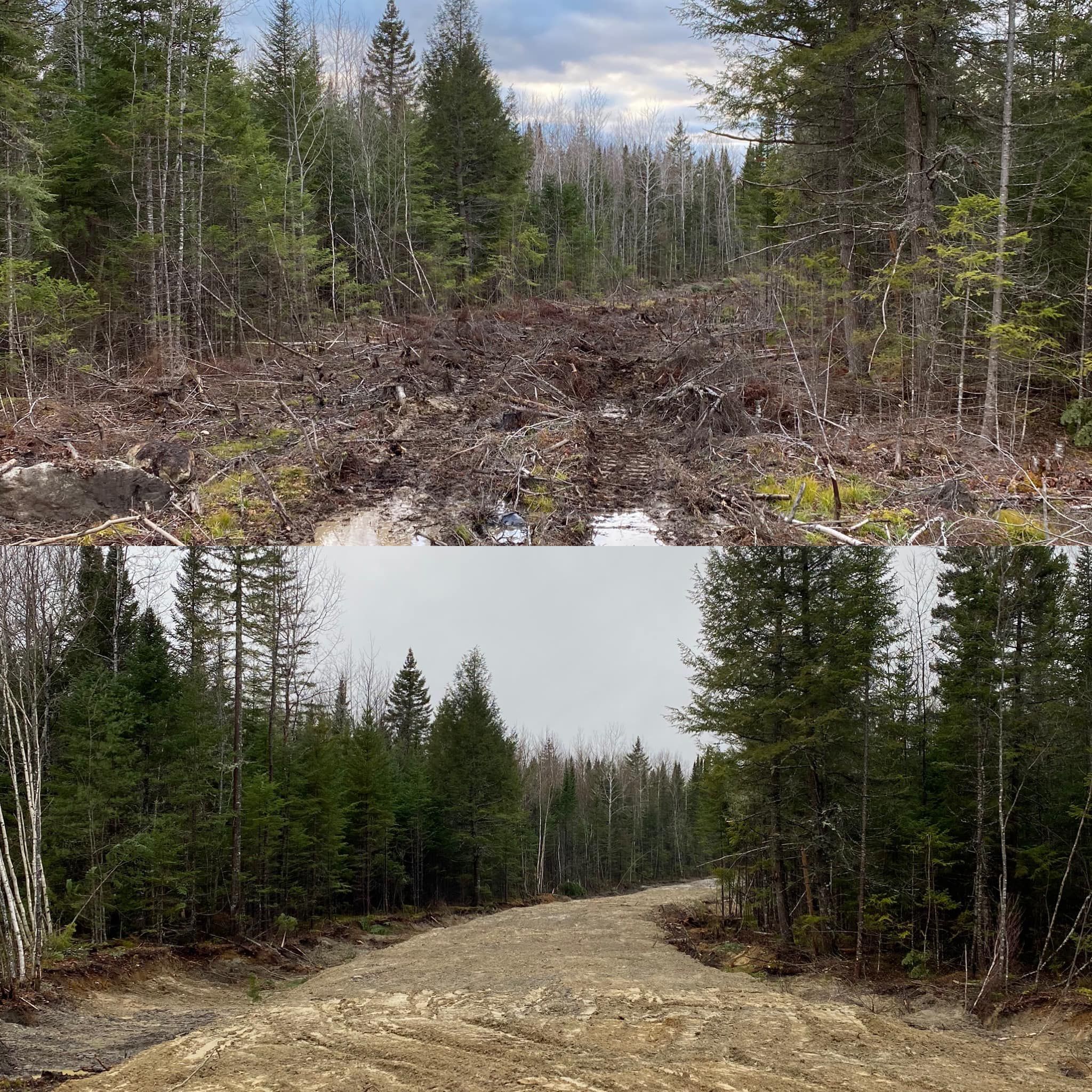  for Gardner Road Company in Winn, ME