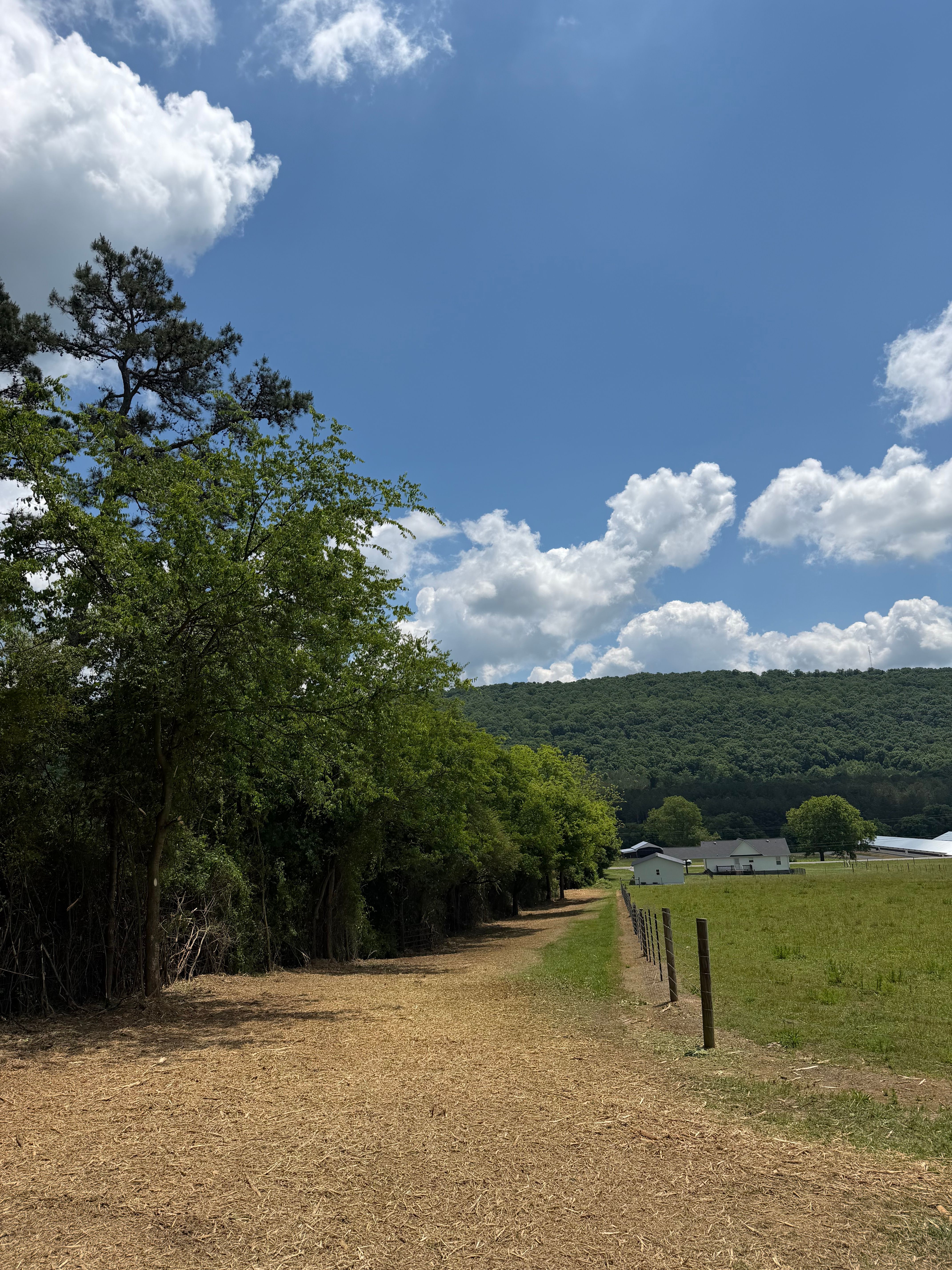  for Collins Constructors in Fyffe, AL