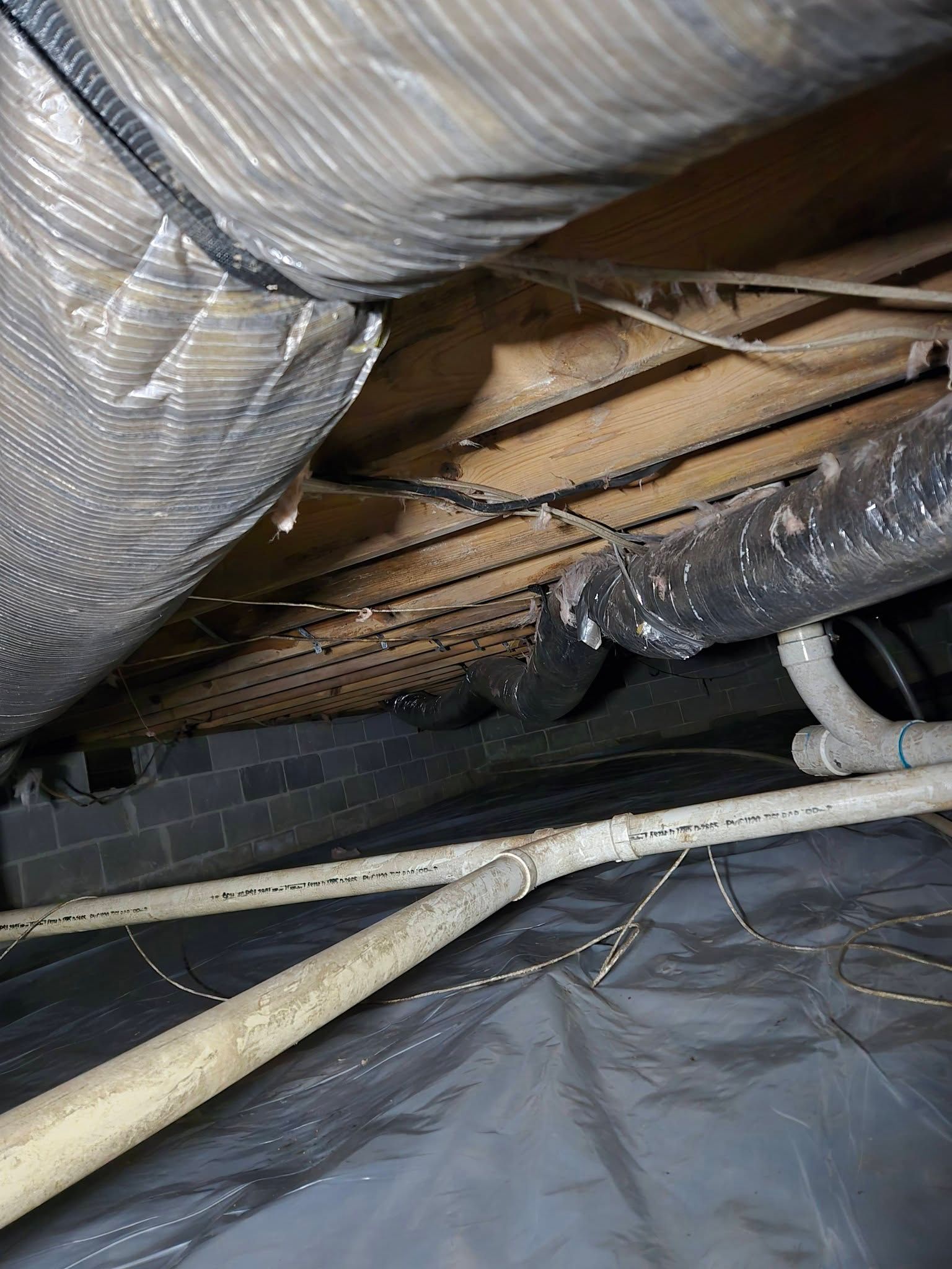  for Bug Blasterz LLC in Huntsville, AL