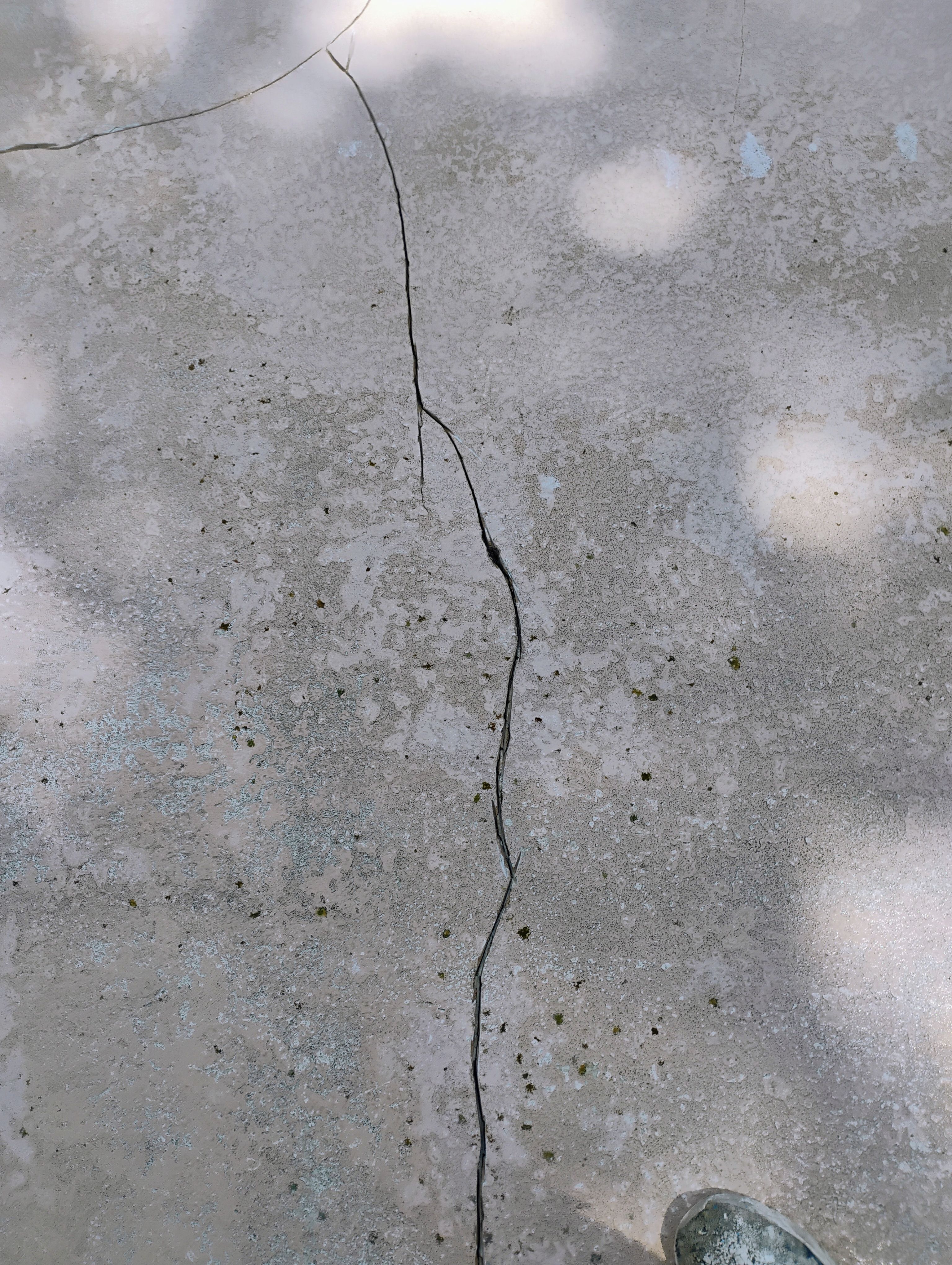  for American Acrylic Concrete Coatings in Longwood, FL