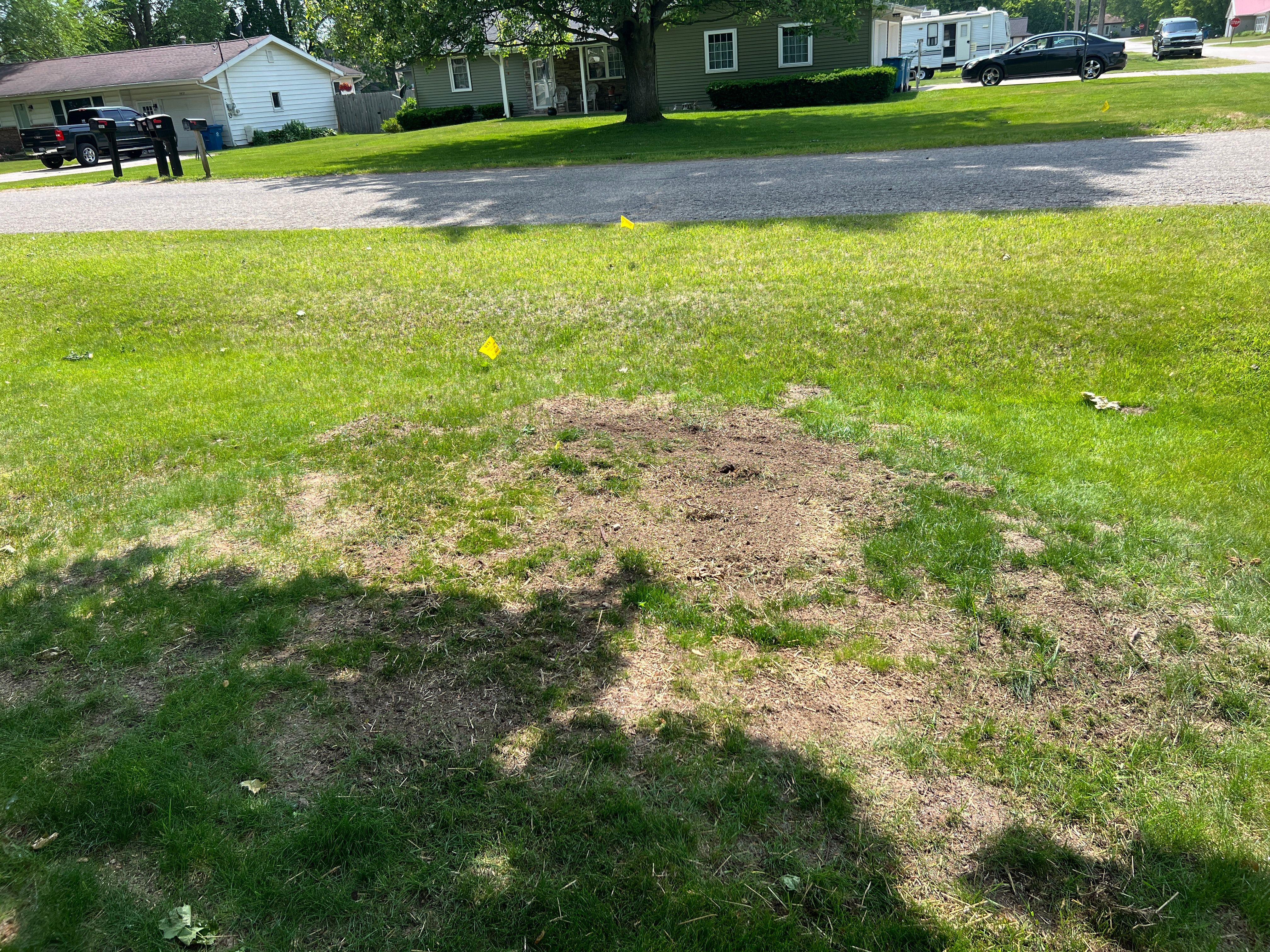 All Photos for Phillips Lawn Services in Ravenna, MI