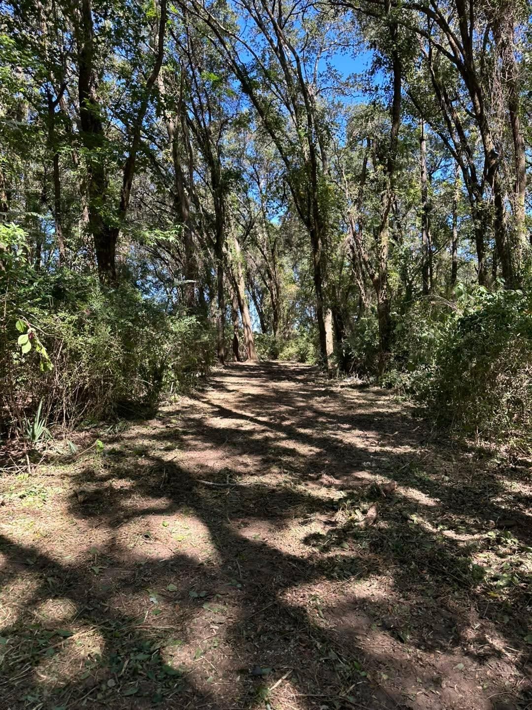  for White’s Land Maintenance in Milton,, FL