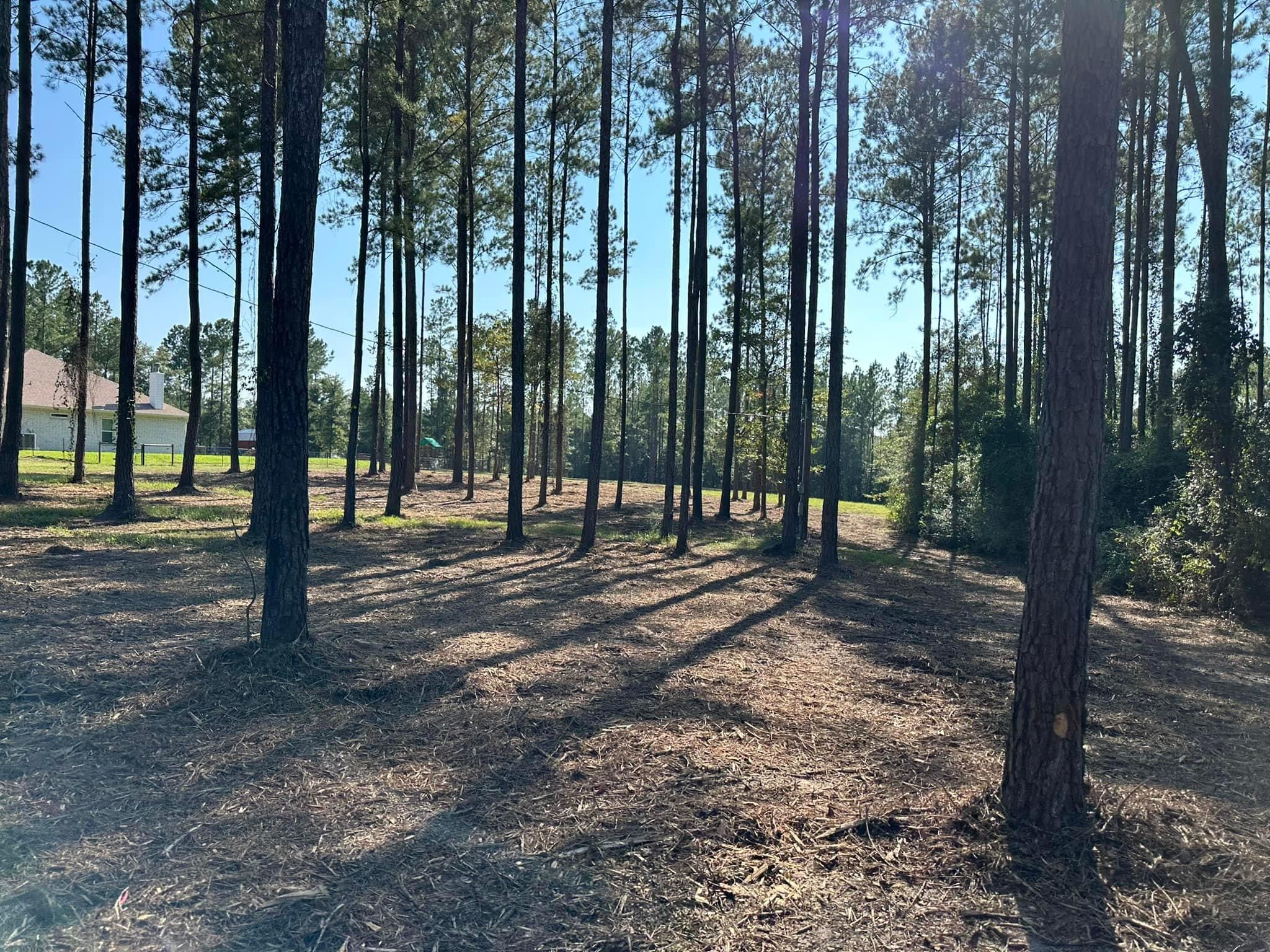 All Photos for White’s Land Maintenance in Milton,, FL