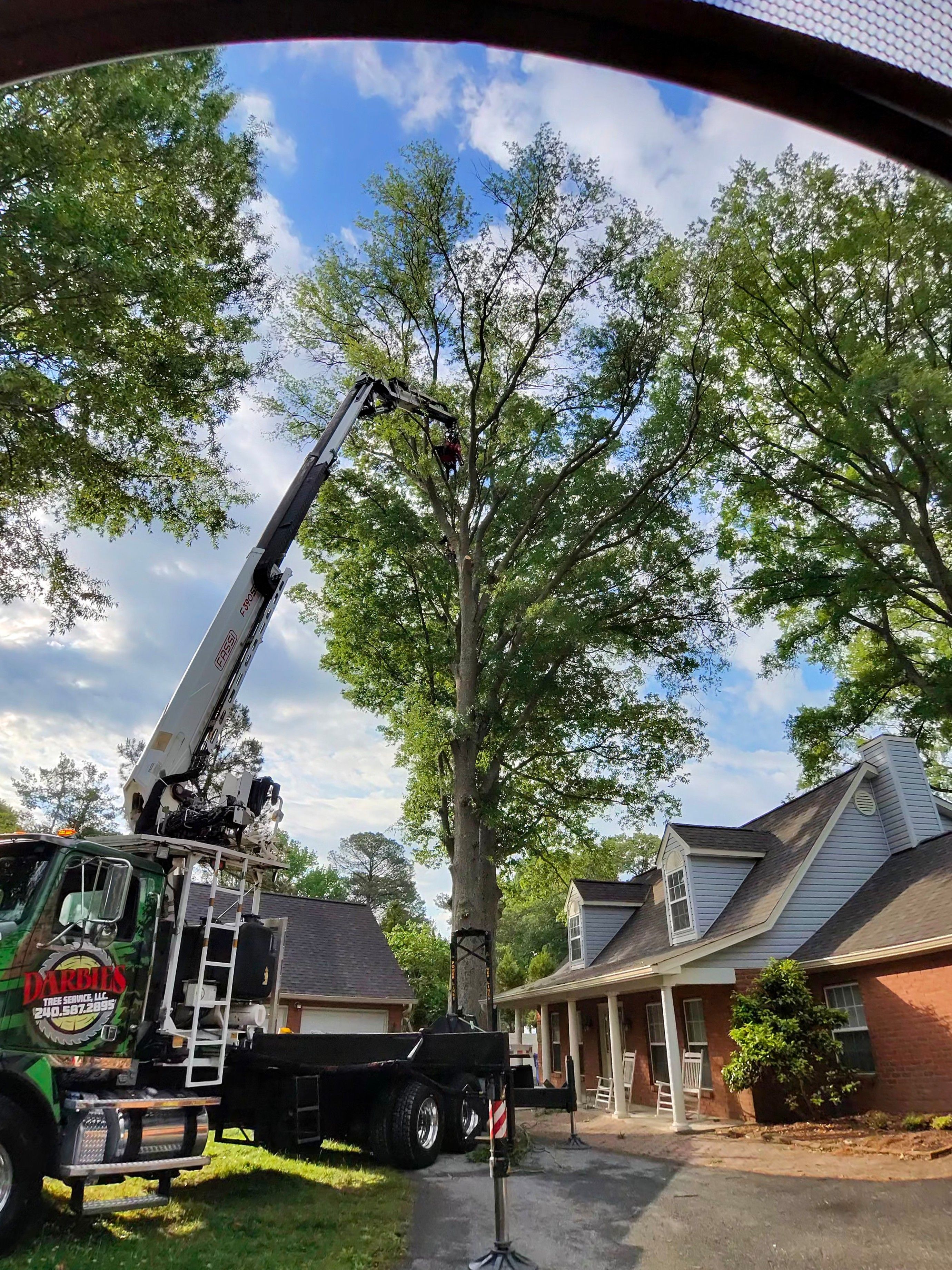  for Darbie's Tree Service in Newburg,  MD