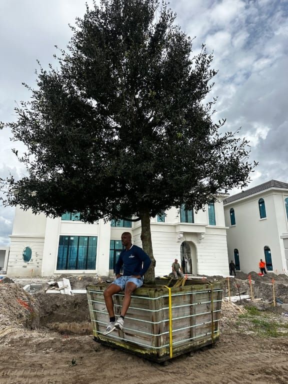  for Bridgewater Arbor Care LLC in Jupiter, FL