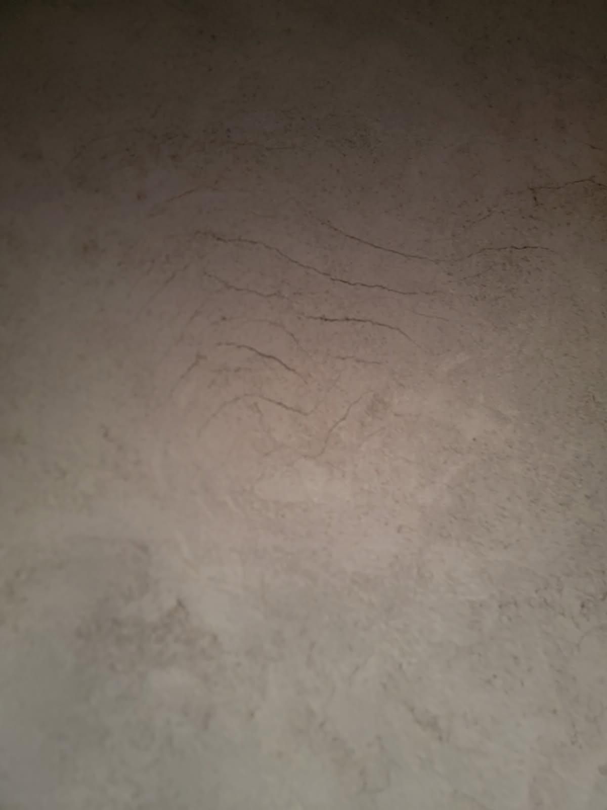  for Resurrected Designs Construction in Lakewood, CA