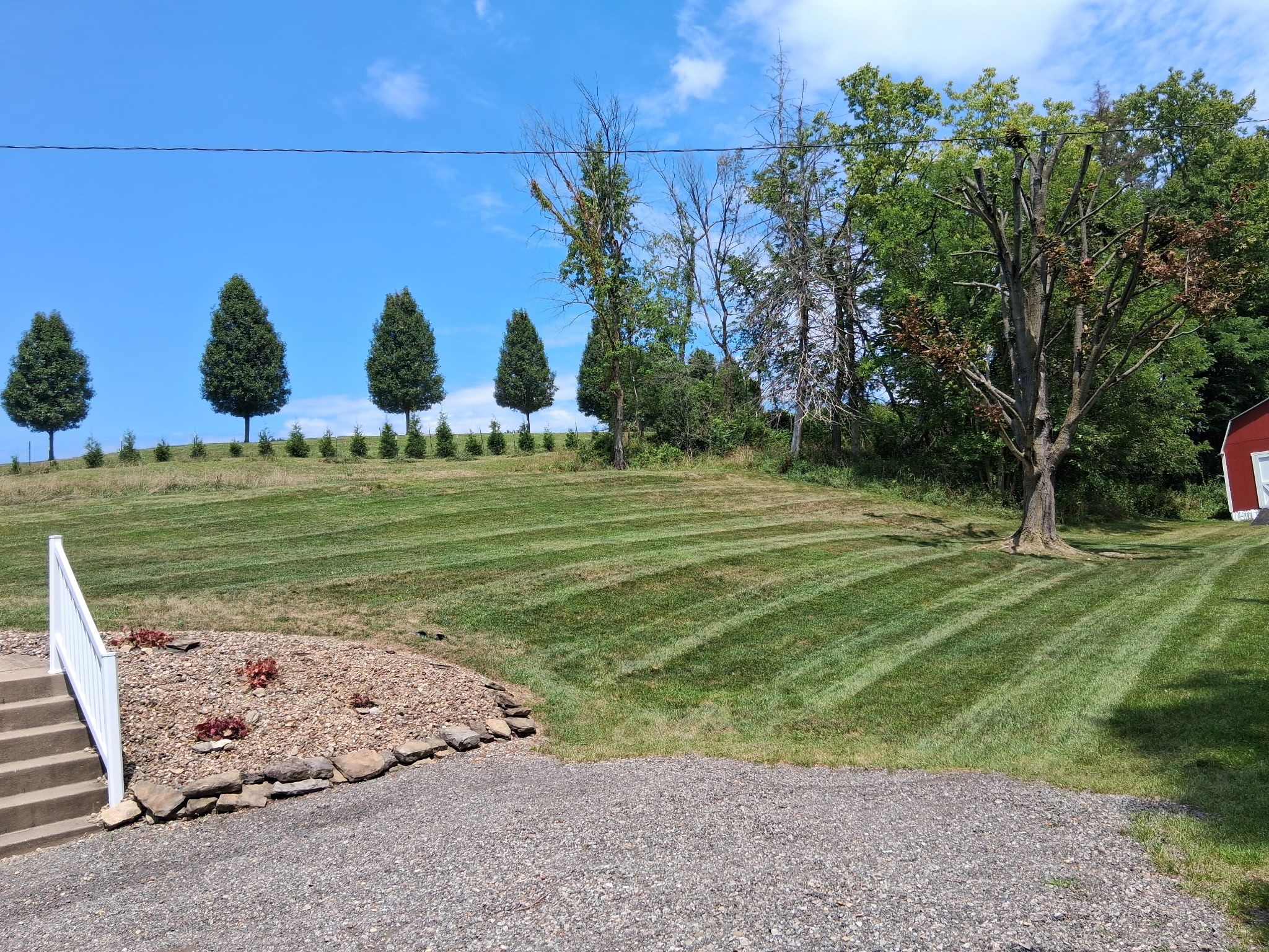  for Cam Yardz in Washington, PA