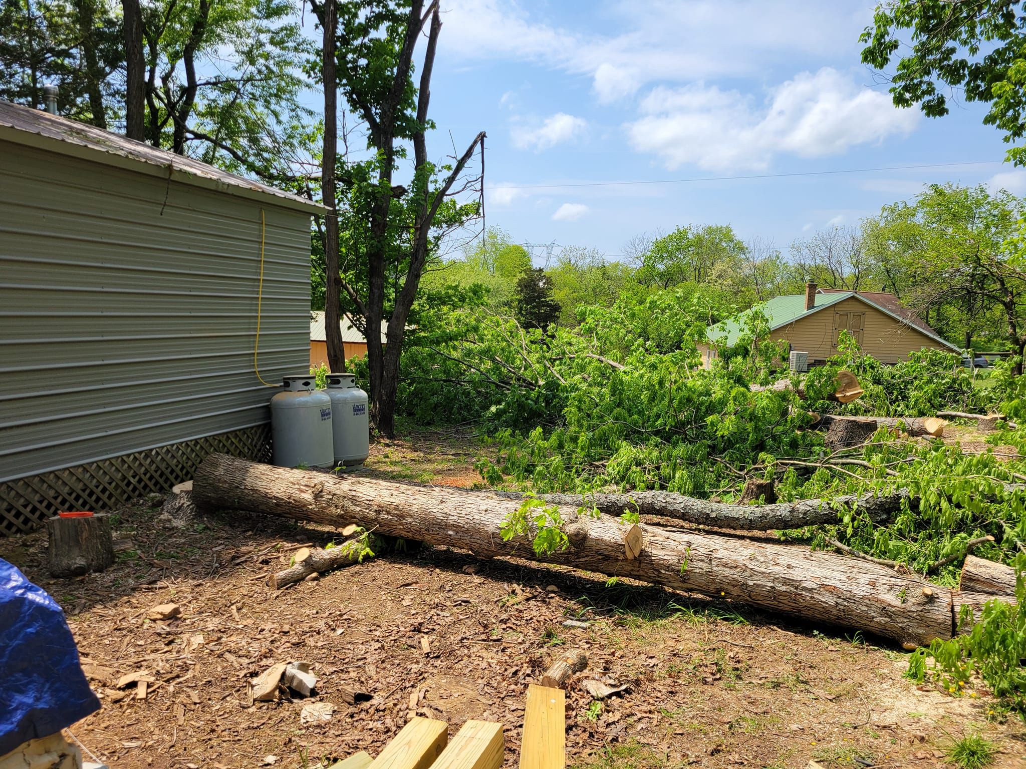  for Red Roosters Tree Services in Bedford, VA