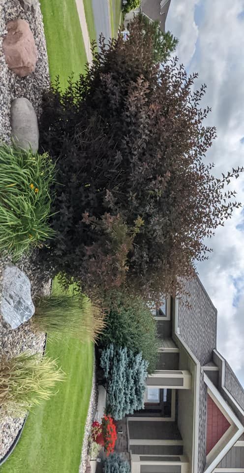  for Urban Green Lawncare & Snow Removal in Lakeville, MN