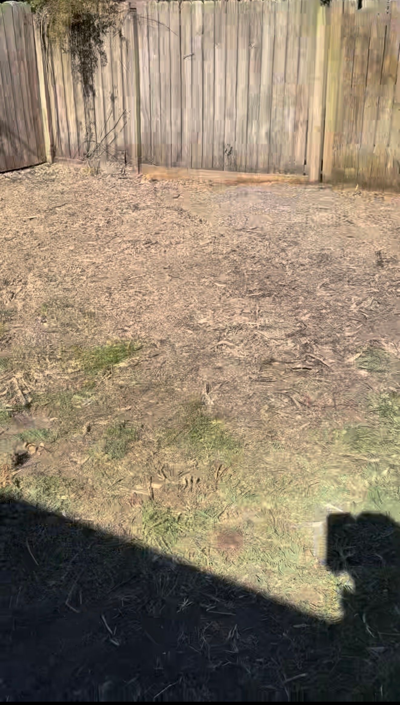  for Whole 9 Yards Services in Green Cove Springs, FL