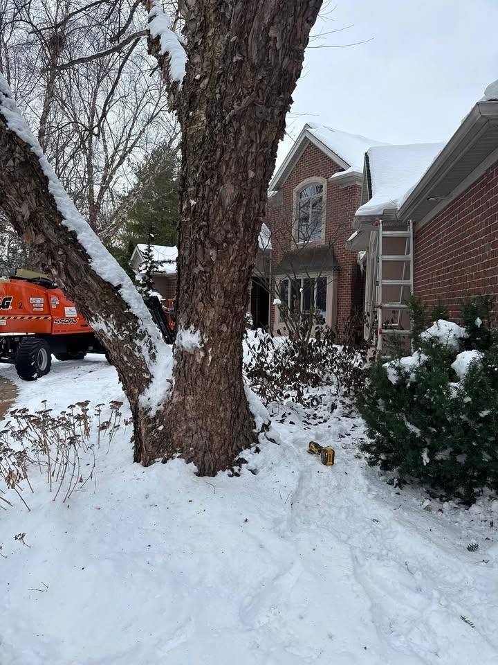  for Landmark Solutions LLC in Mishawaka, IN