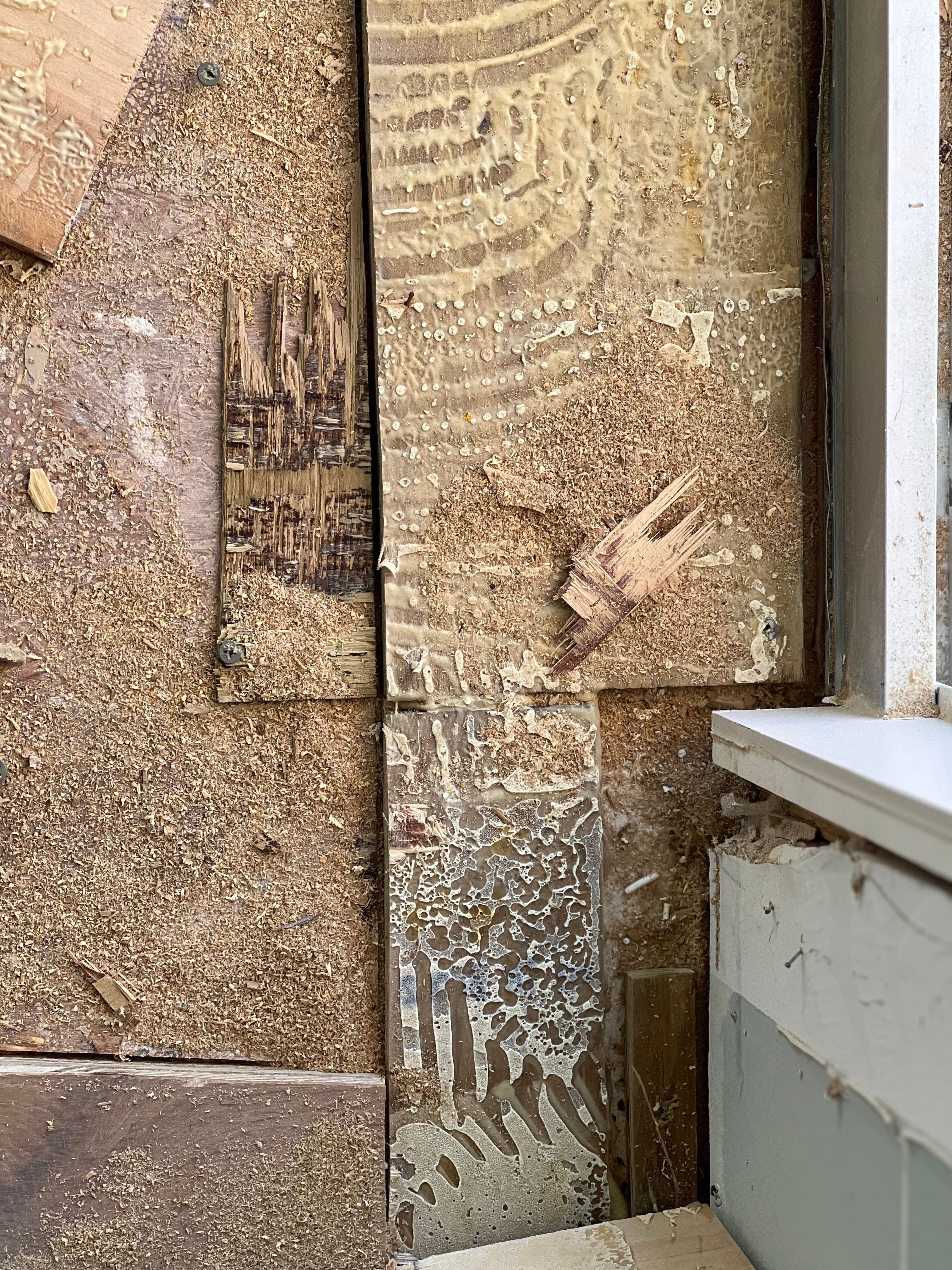  for N&D Restoration Services When Disaster Strikes, We Come In in Cape Coral,  FL