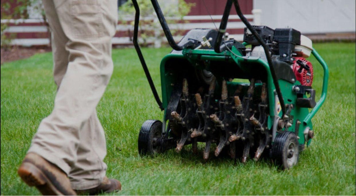  for Scalpel Lawn Service in Temple, TX