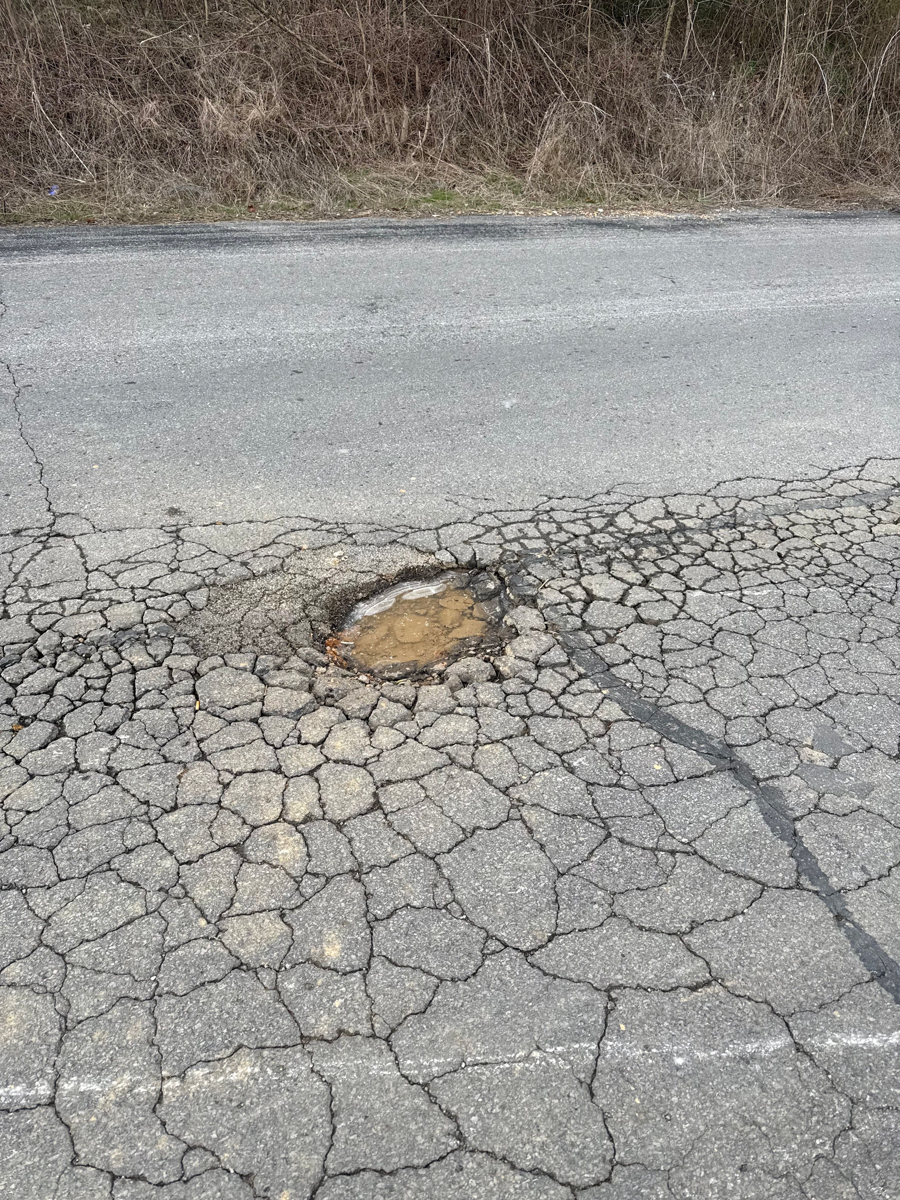  for Cardwell's Contracting in Bowling Green, KY