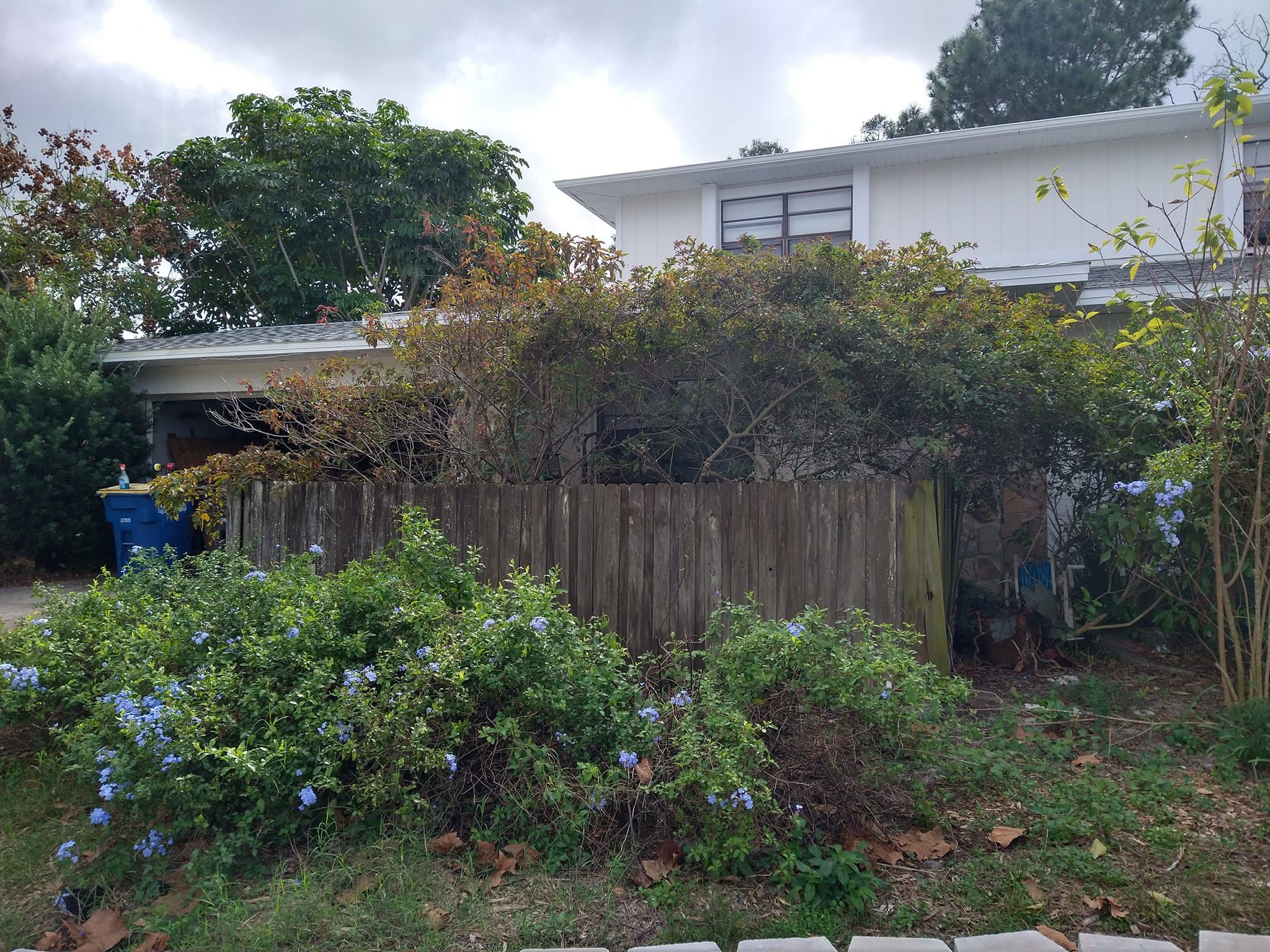 Landscaping for Lawn Dogz Lawns & Landscaping in Tampa, FL
