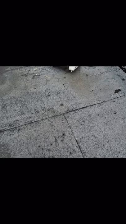  for Reliable Kitchen Services in McAllen, TX