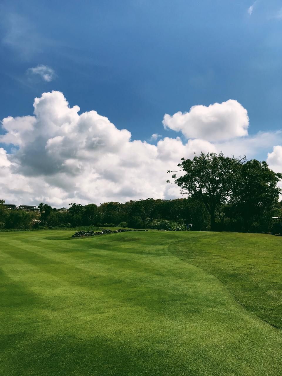 All Photos for Phillips Lawn Services in Ravenna, MI