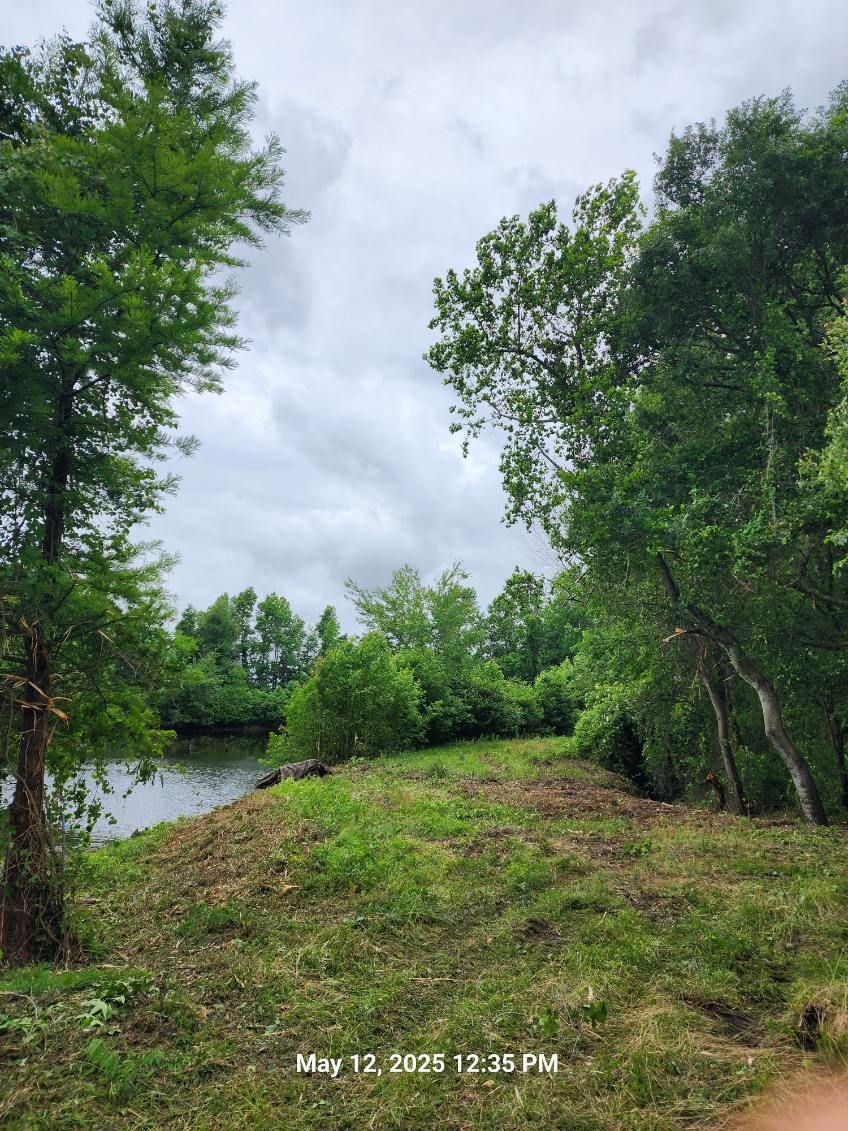 All Photos for TJ Farm and Land Management in Loris, SC