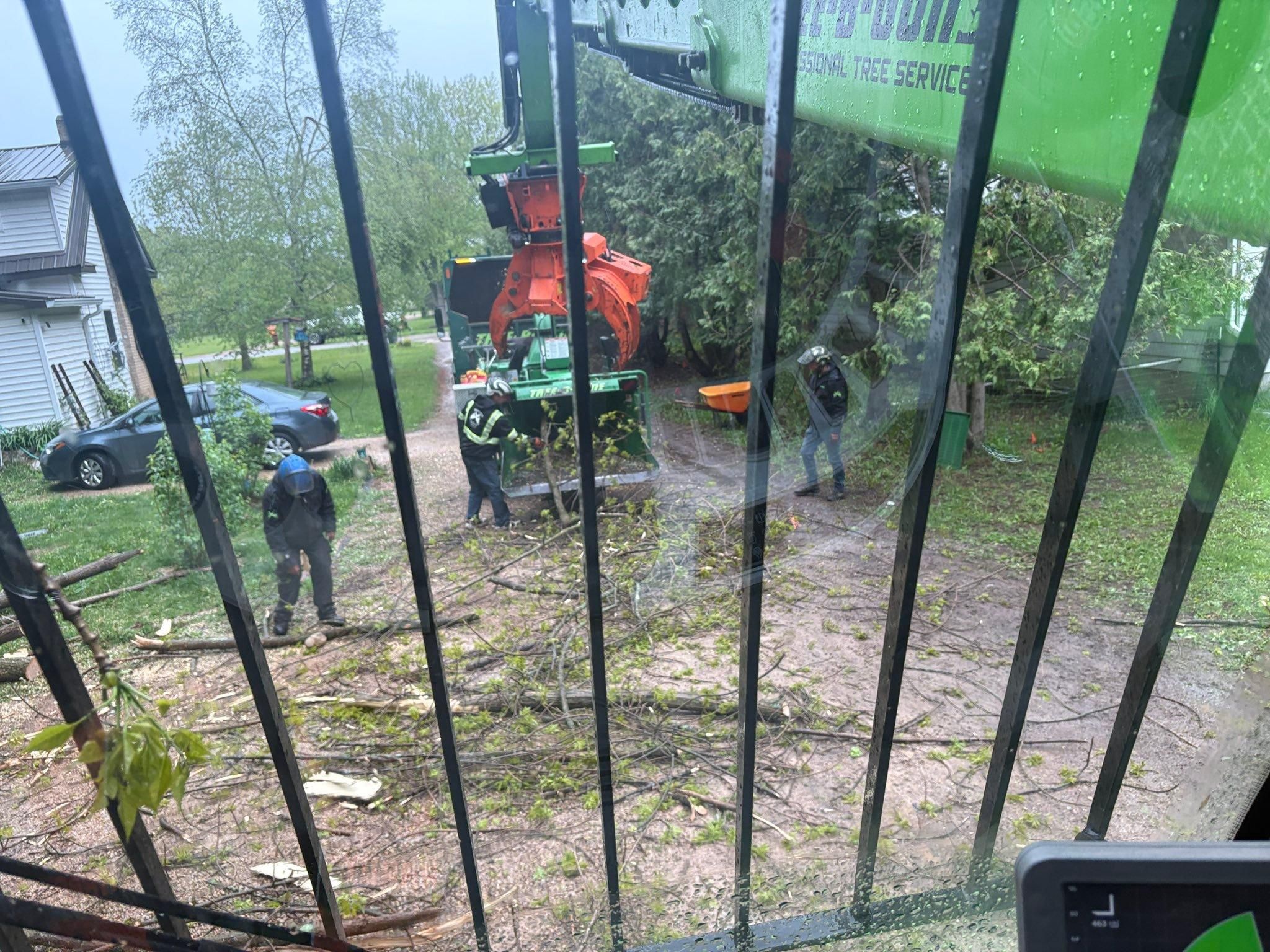  for Tree-B-Gone in Appleton, WI