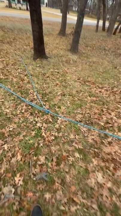 All Photos for Blu-J Tree Care in Arlington, TX