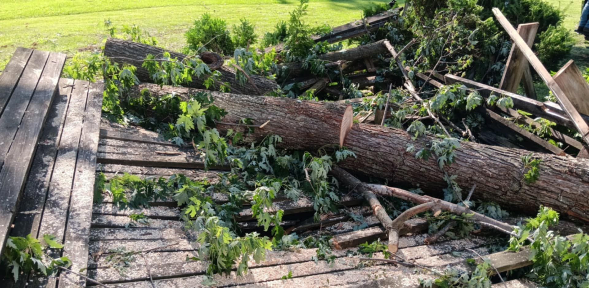  for Lawn Ranger Yard And Tree Service LLC in Ottumwa, IA
