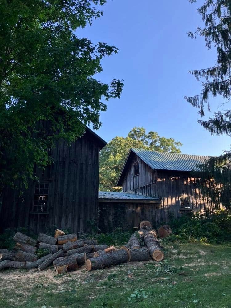  for Lovenguth Logging and Tree Service in West Monroe, NY