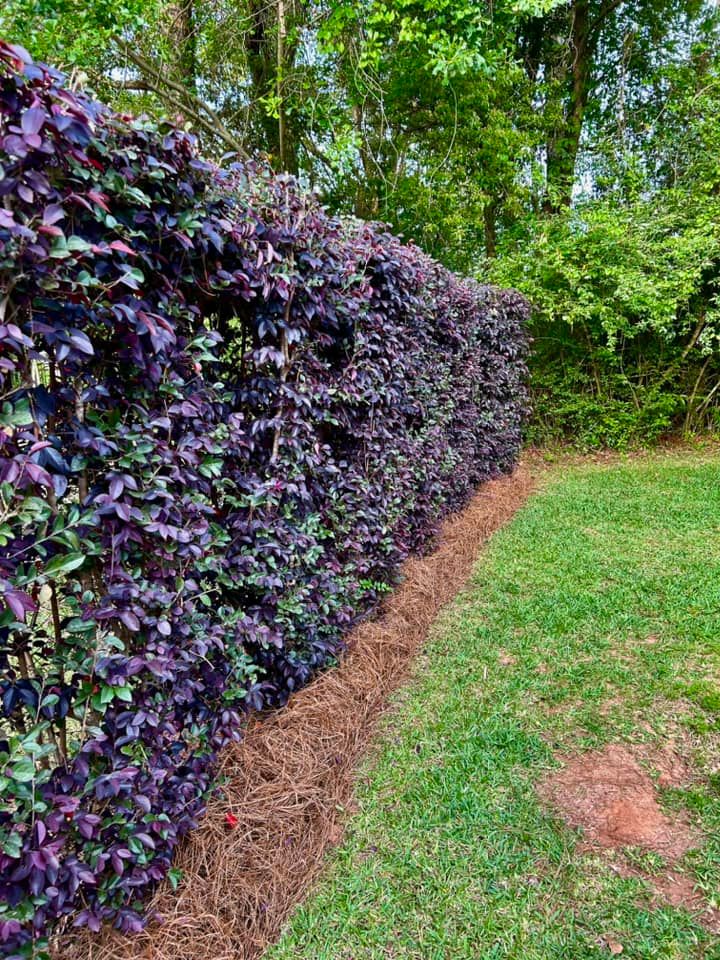  for Old Florida Lawncare in Baker, FL